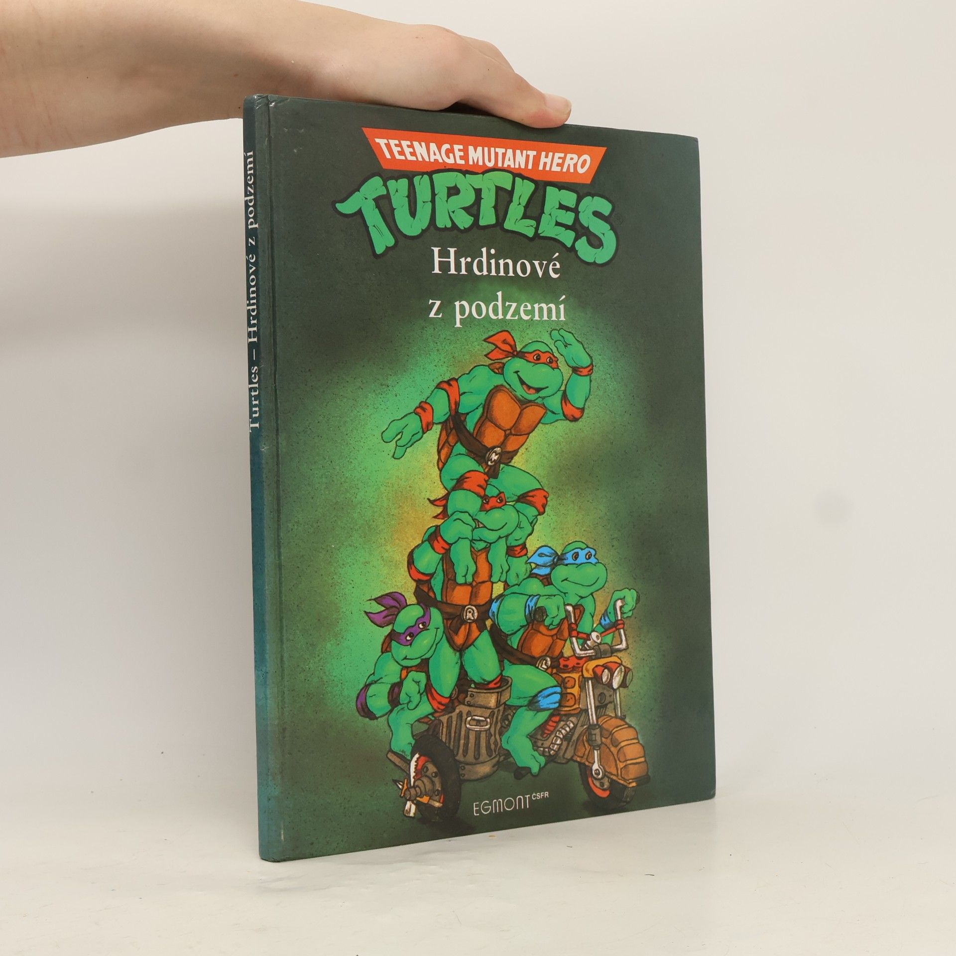 Maureen Spurgeon Teenage Mutant Ninja Turtles. Hrdinové z podzemí