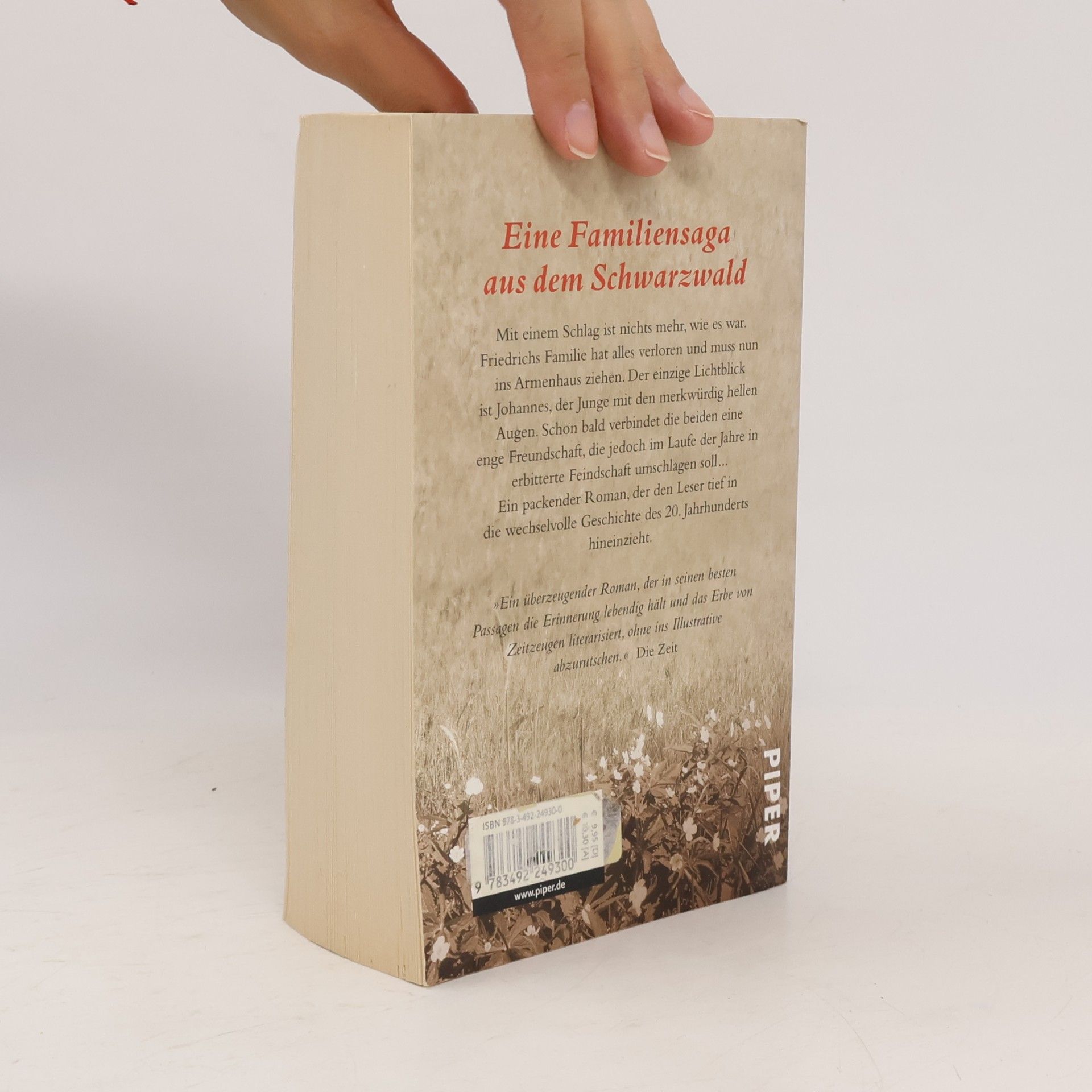Inge Barth-Grözinger Beerensommer