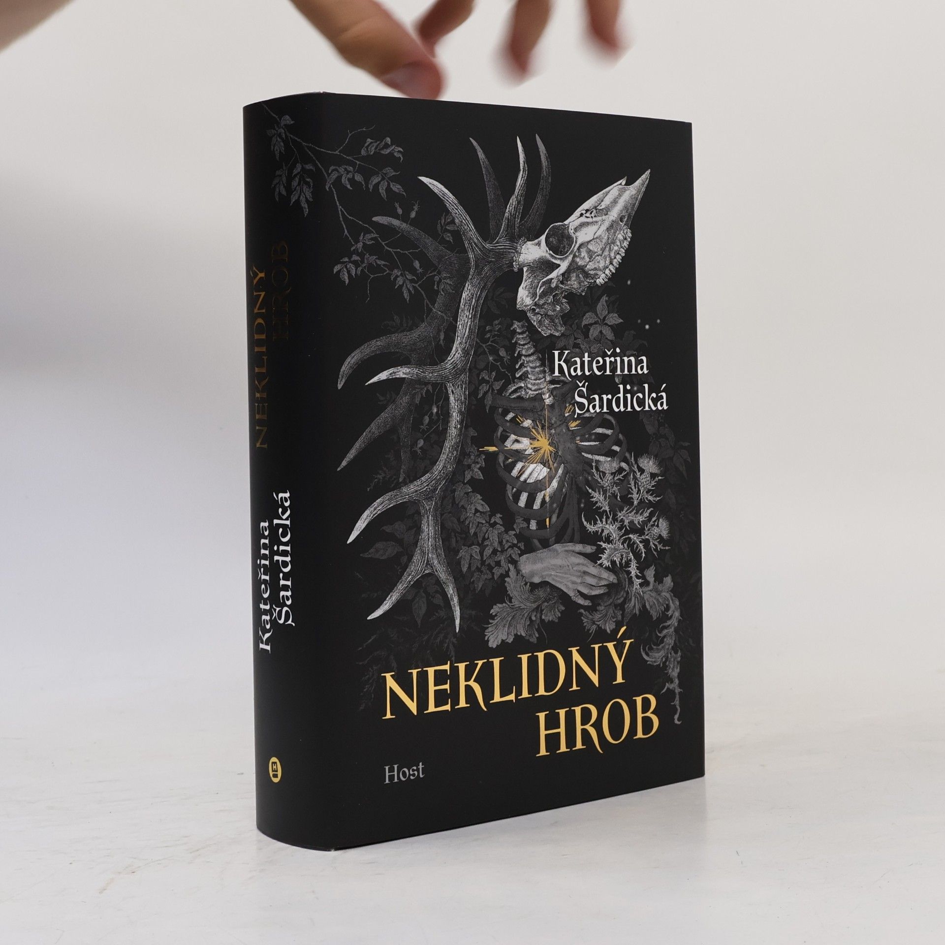 Kateřina Šardická Neklidný hrob