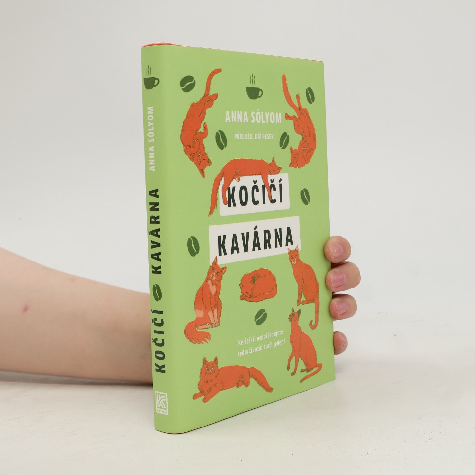 Anna Sólyom Kočičí kavárna