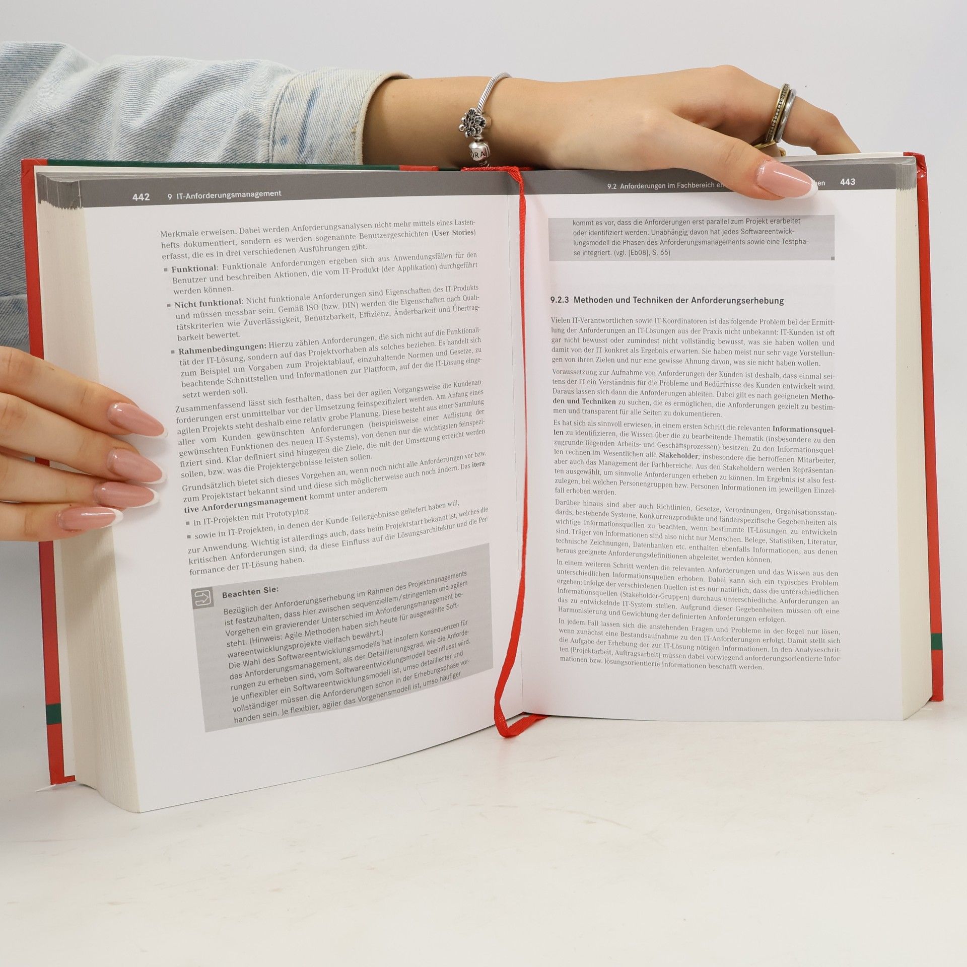 Ernst Tiemeyer Handbuch IT-Management