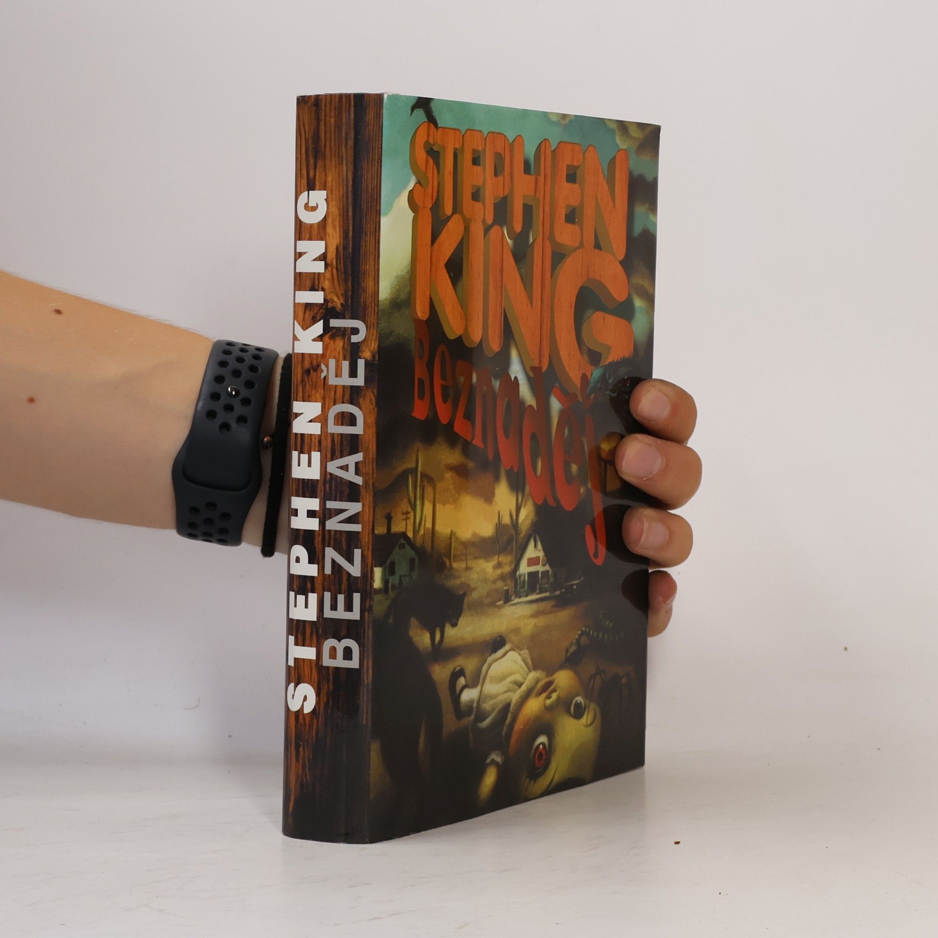 Stephen King Beznaděj