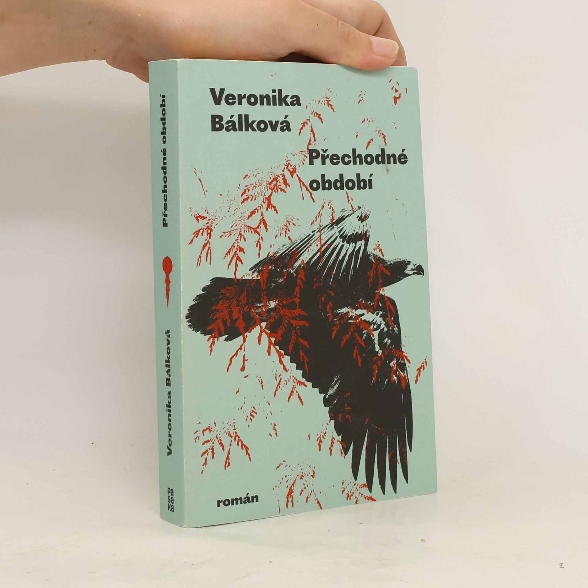 Veronika Bálková Přechodné období