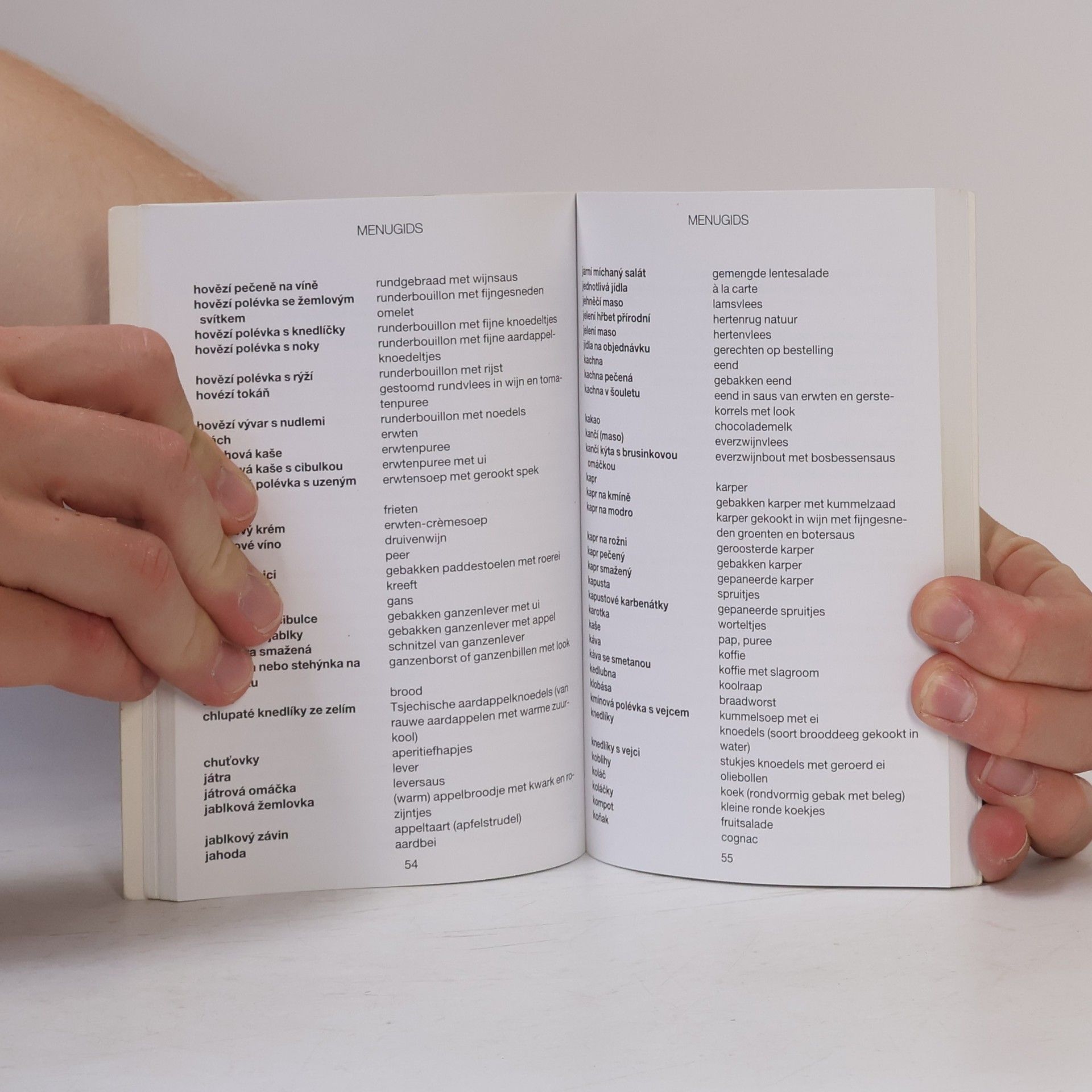 Autorenkollektiv Tsjechisch spreken en begrijpen