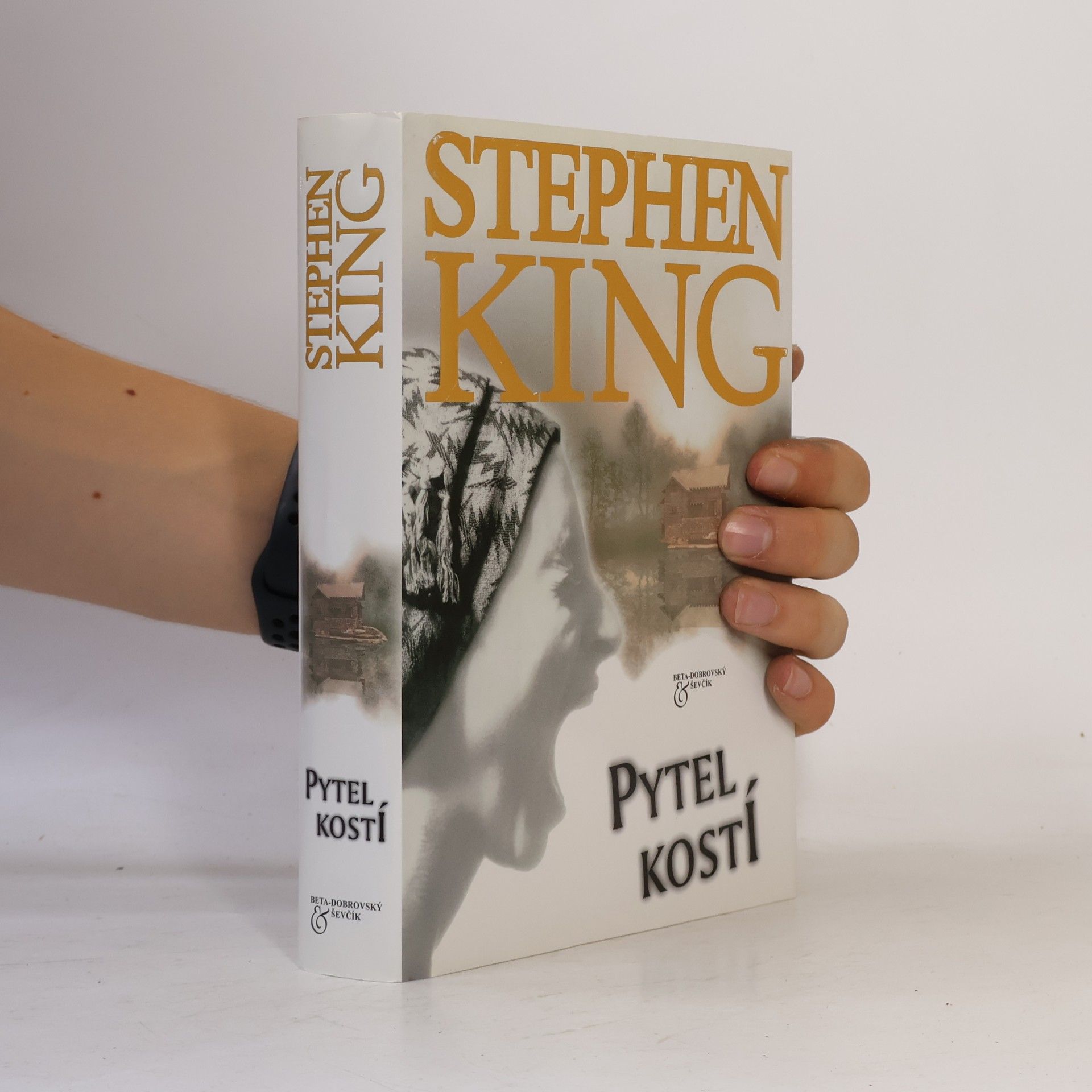 Stephen King Pytel kostí