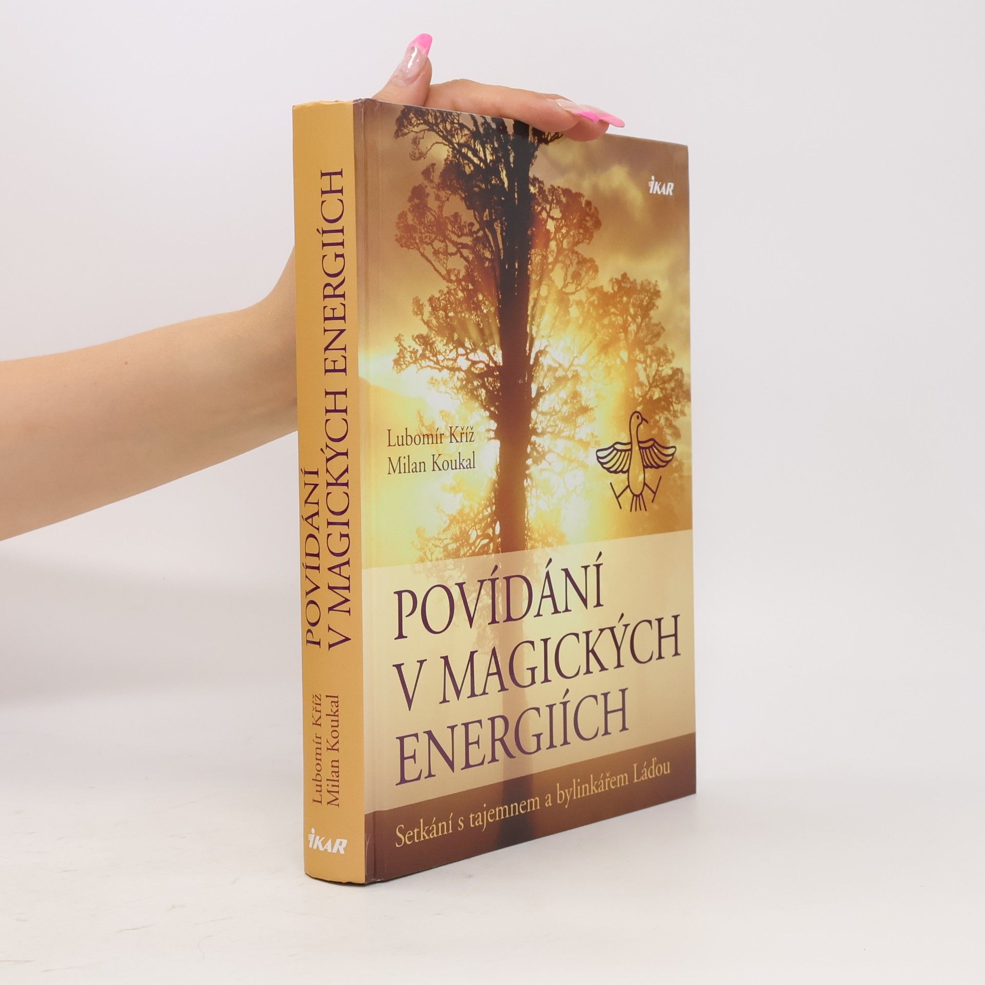 Lubomír Kříž Povídání v magických energiích