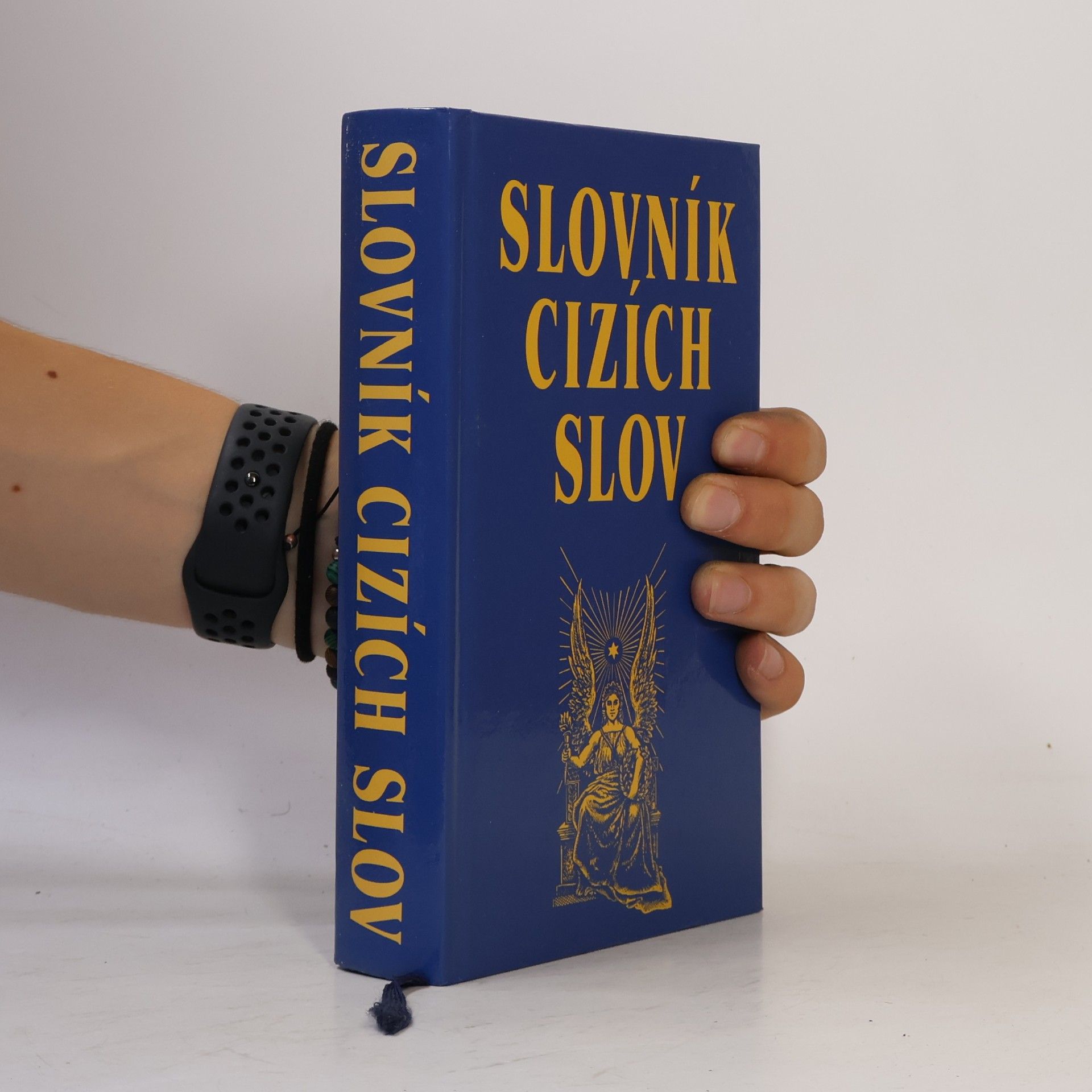 Various authors Slovník cizích slov