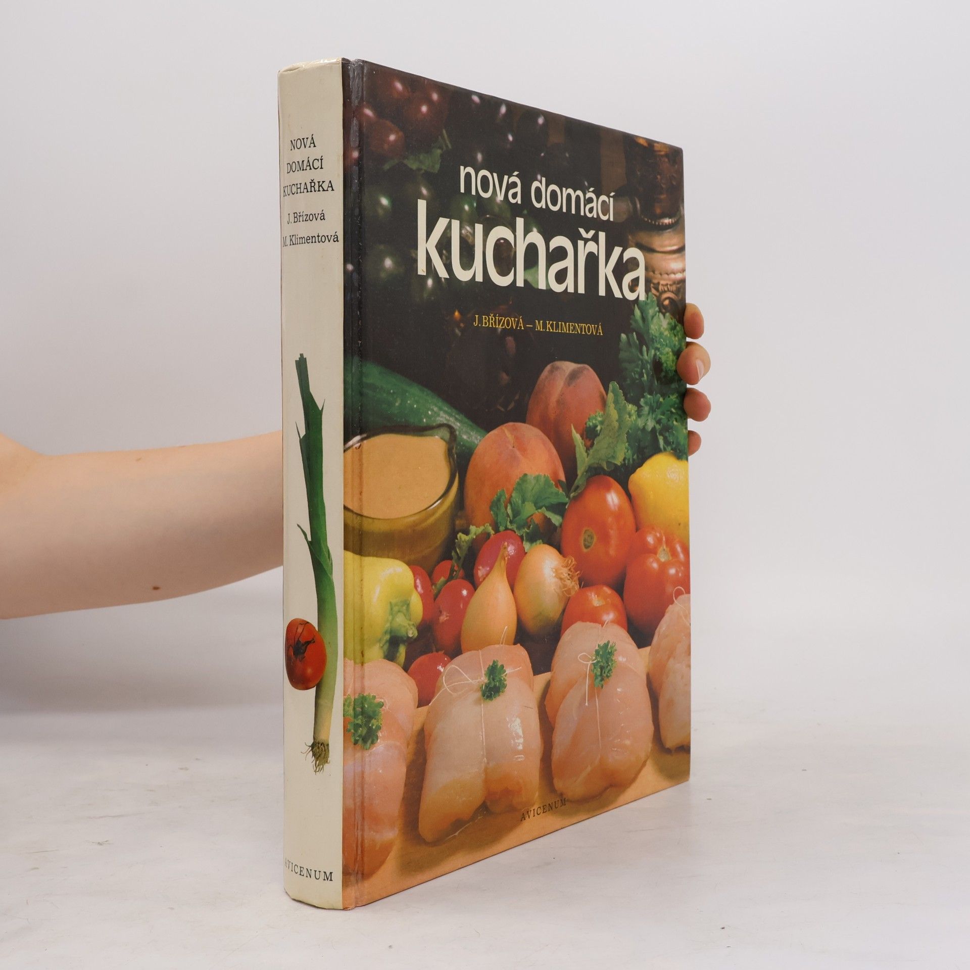 Joza Břízová Nová domácí kuchařka