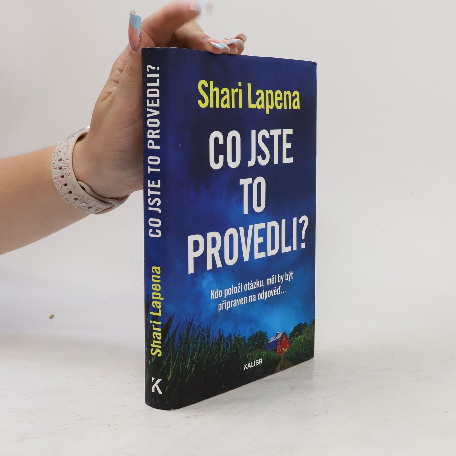 Shari Lapena Co jste to provedli?