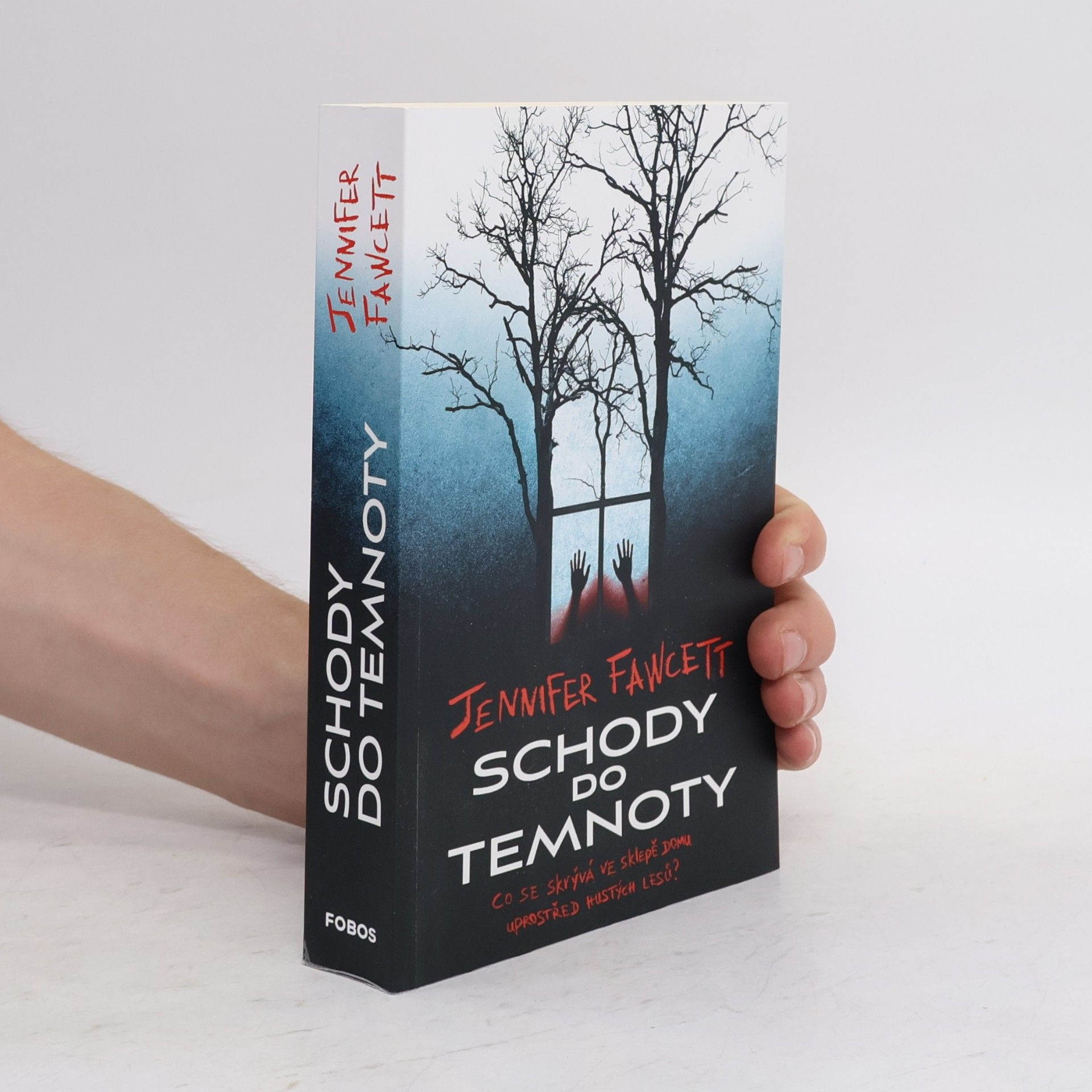 Jennifer Fawcett Schody do temnoty