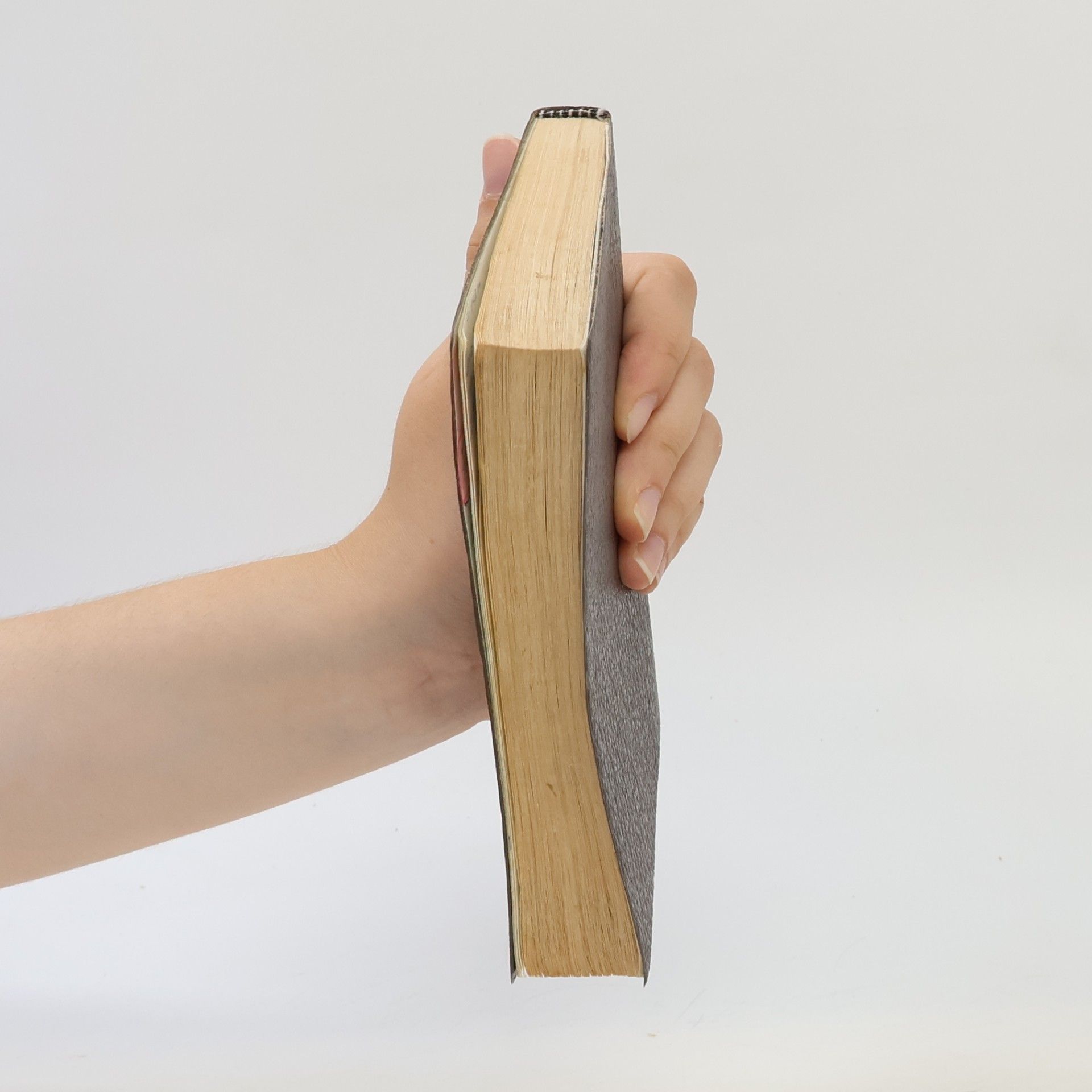 Various authors Nový zákon Pána a Spasitele našeho Ježíše Krista britická a zahranicní společnost