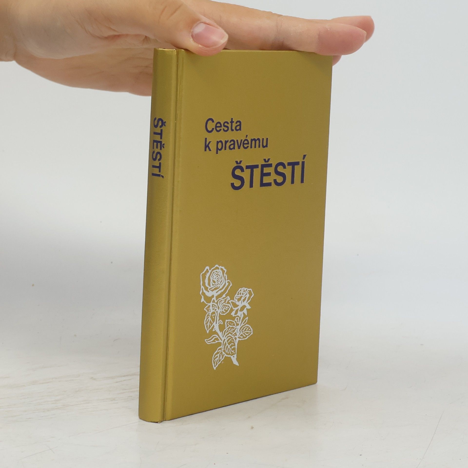 Autorenkollektiv Cesta k pravému štěstí