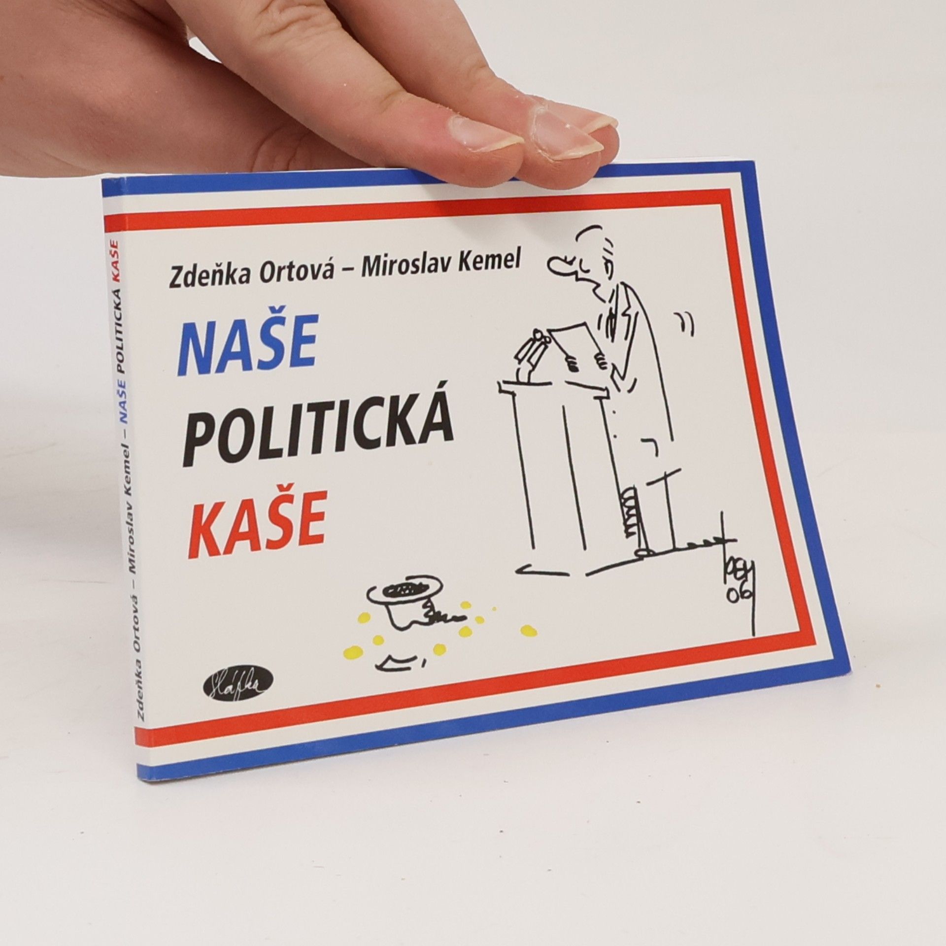Naše politická kaše