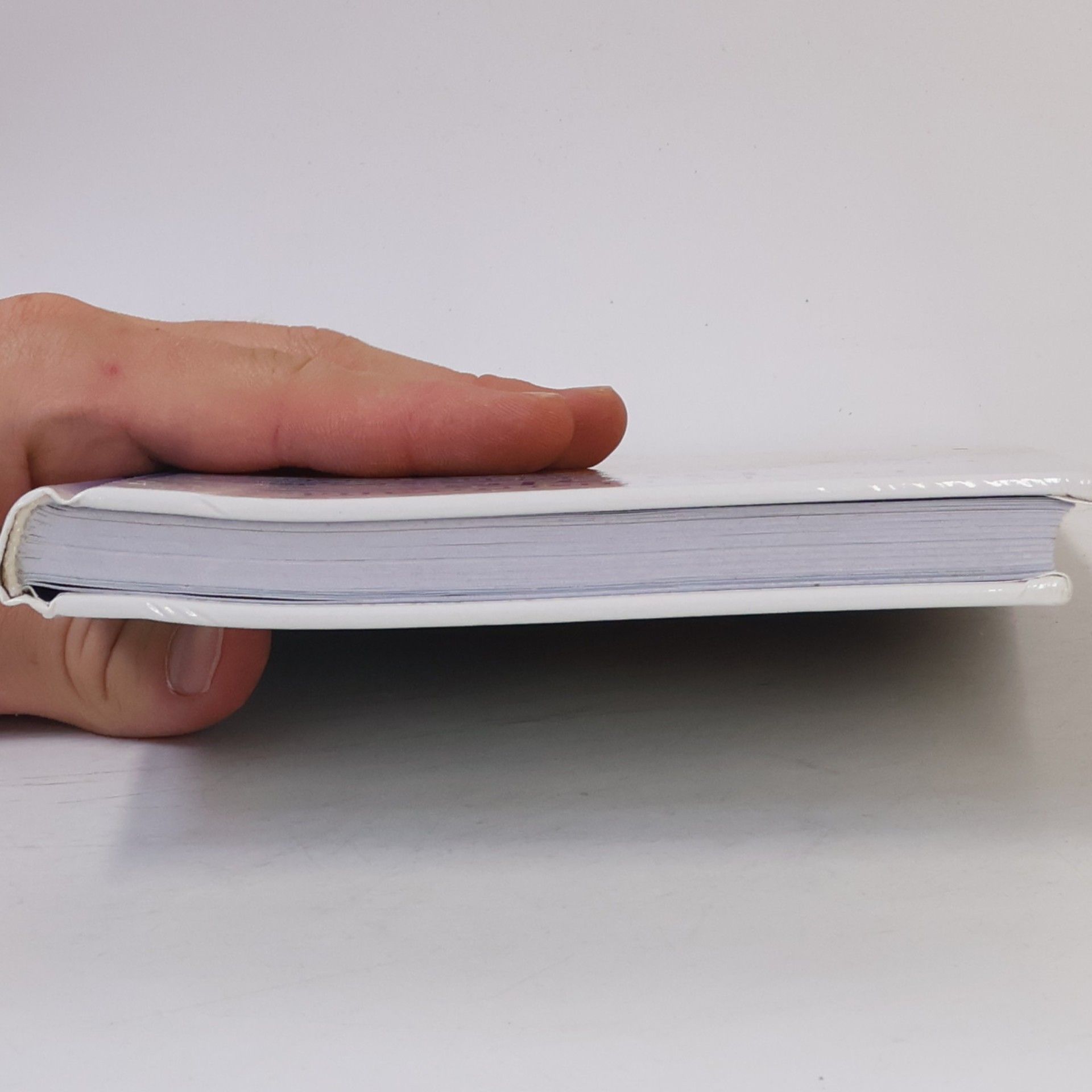 Piotr Krzyżewski Dětská ilustrovaná Bible