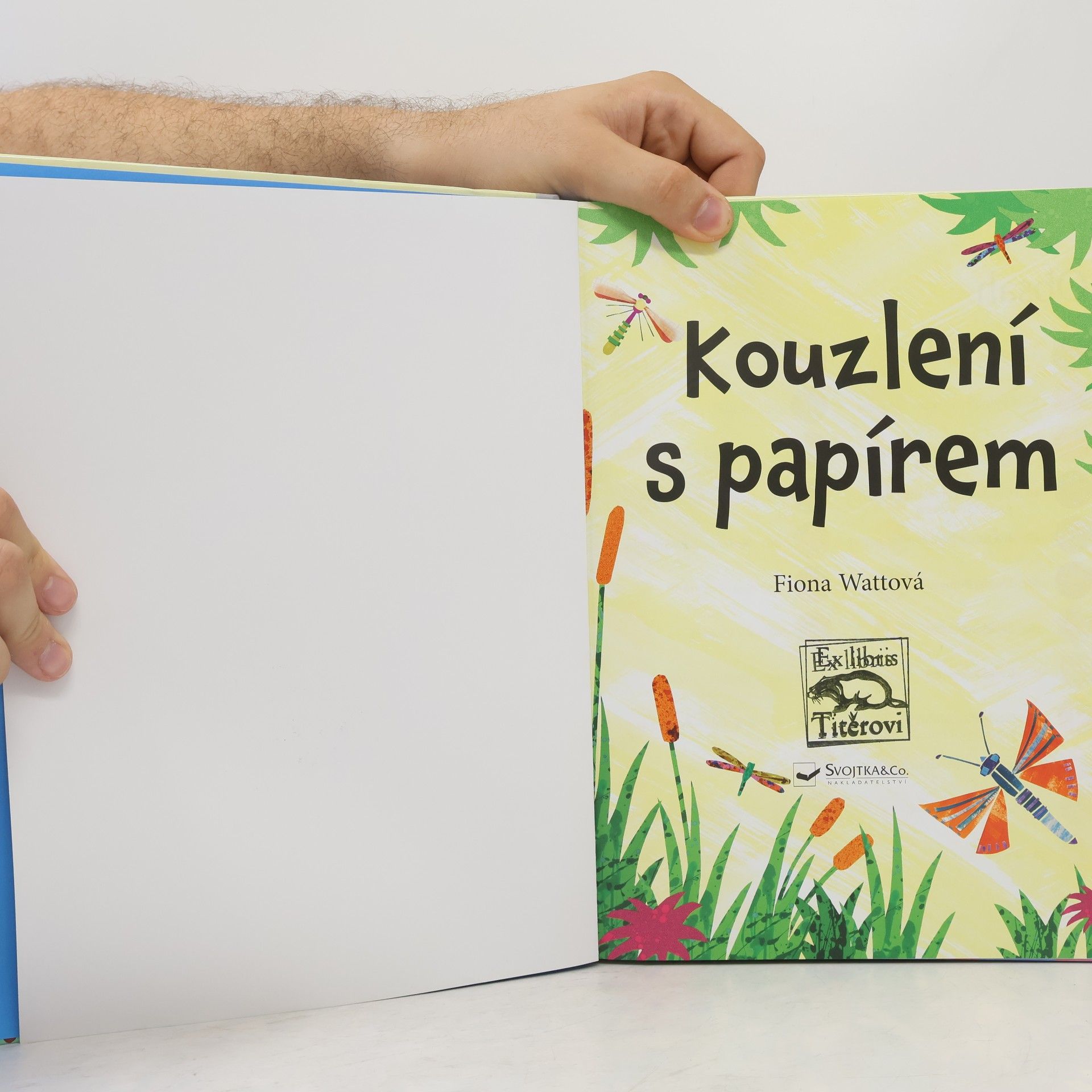 Fiona Watt Kouzlení s papírem