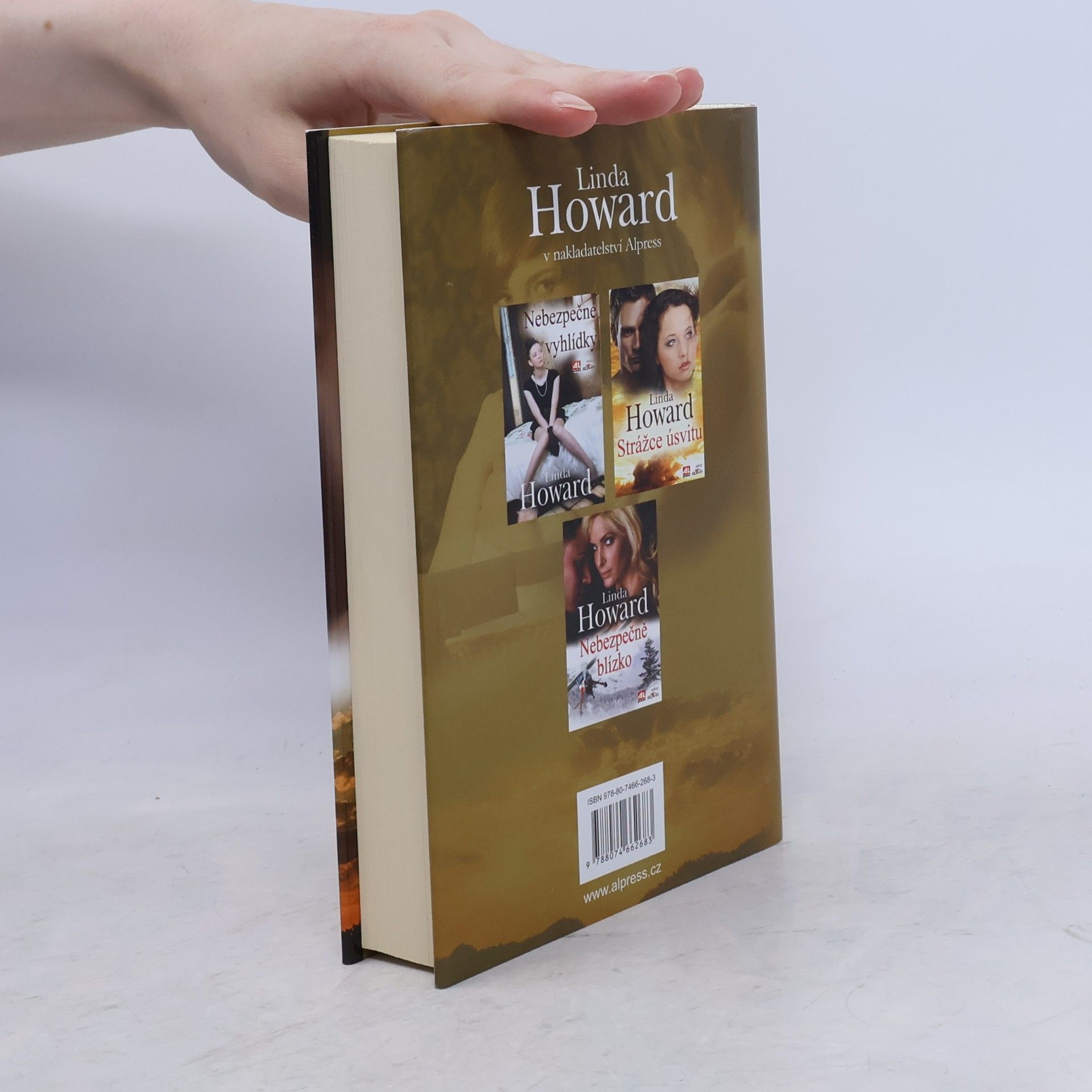 Linda Howard Cizí tvář