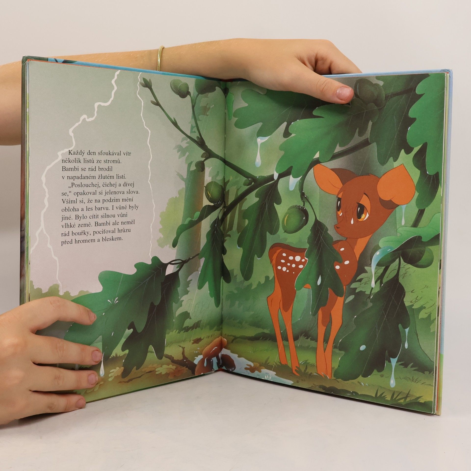 Van Gool Bambi