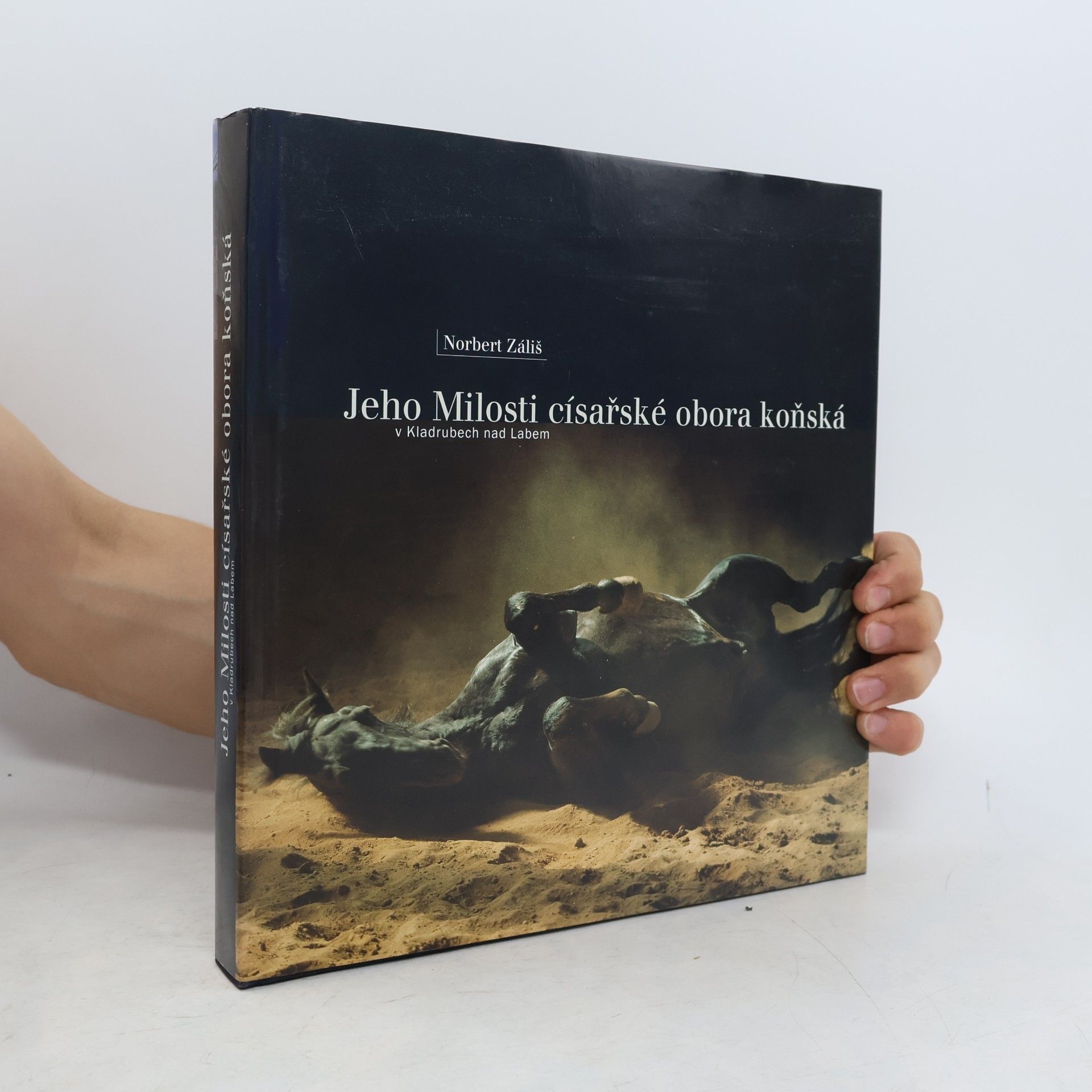 Norbert Záliš Jeho Milosti císařské obora koňská