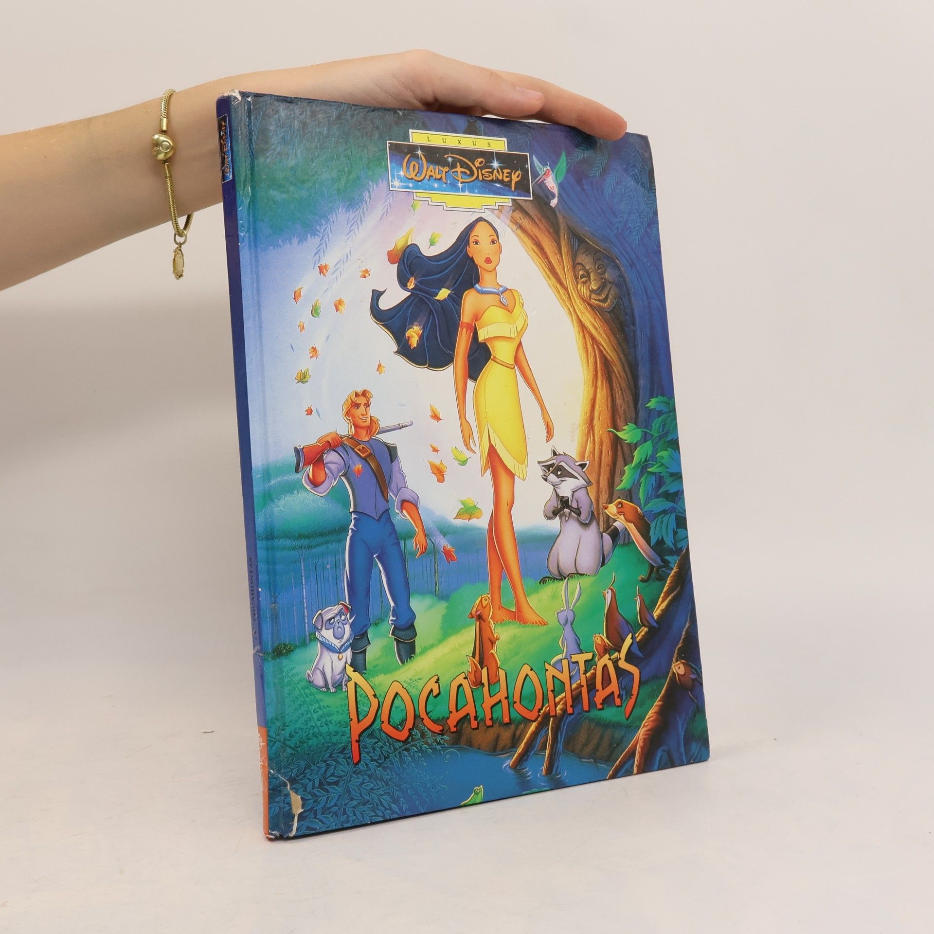 Walt Disney Pocahontas