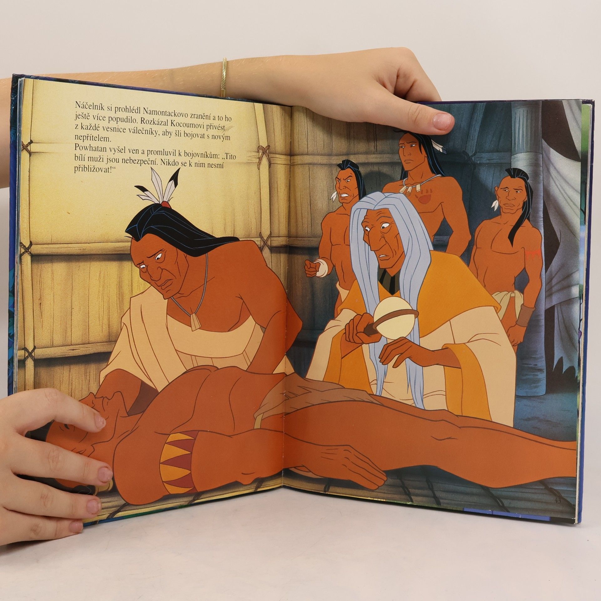 Walt Disney Pocahontas