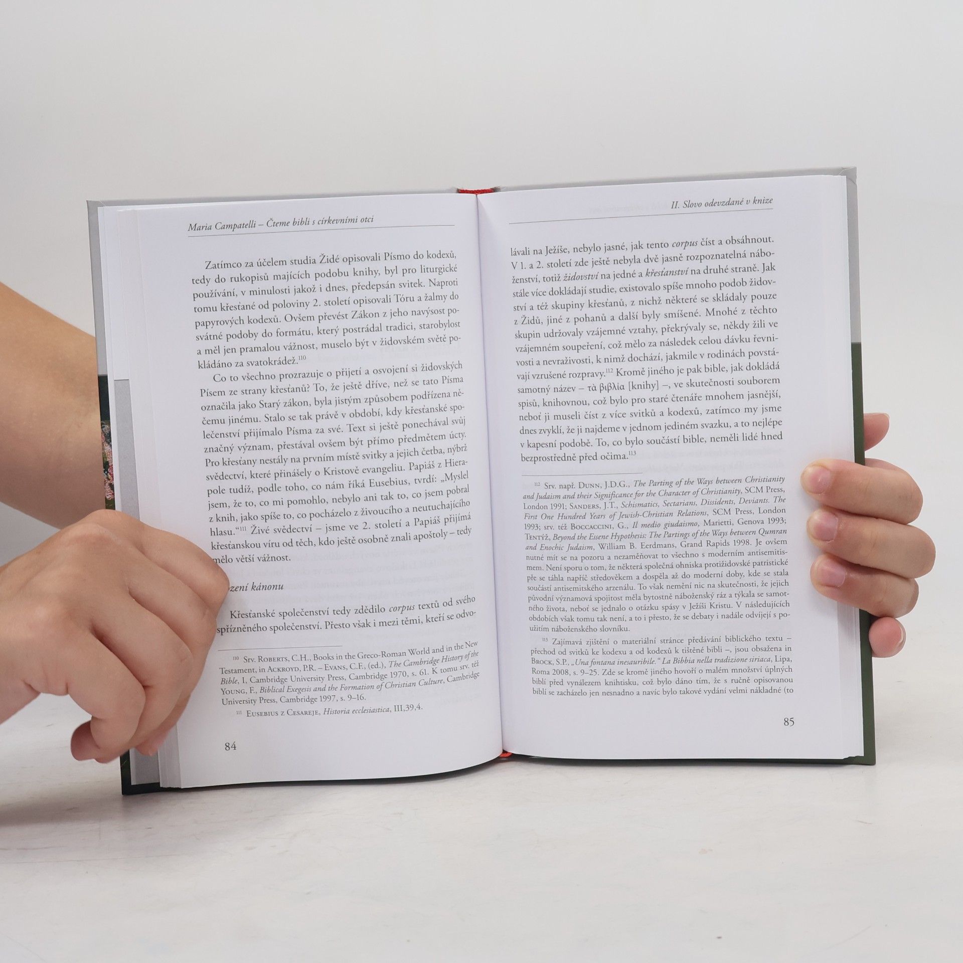 Maria Campatelli Čteme Bibli s církevními otci