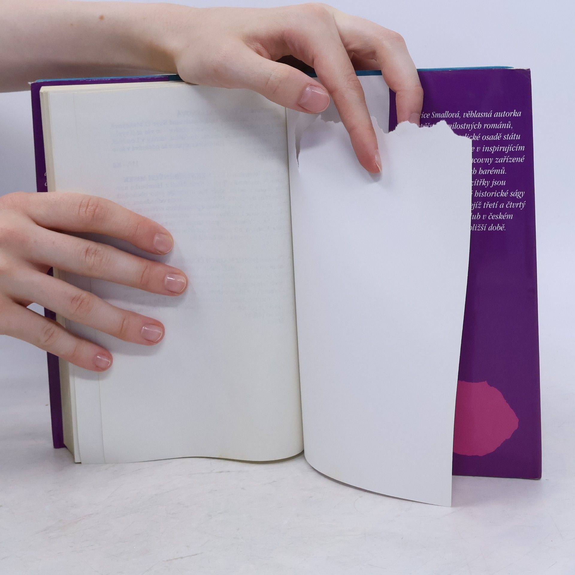 Bertrice Small Všechny sladké zítřky
