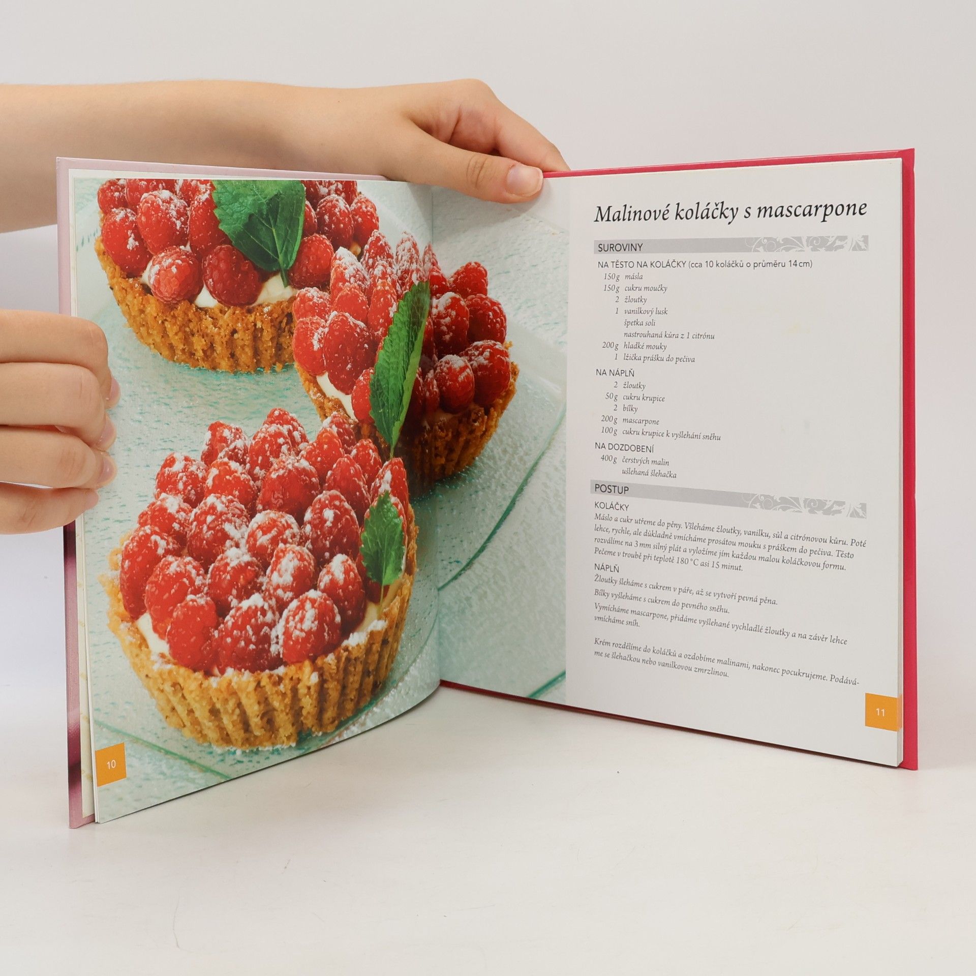Mirka van Gils Slavíková Cheesecakes