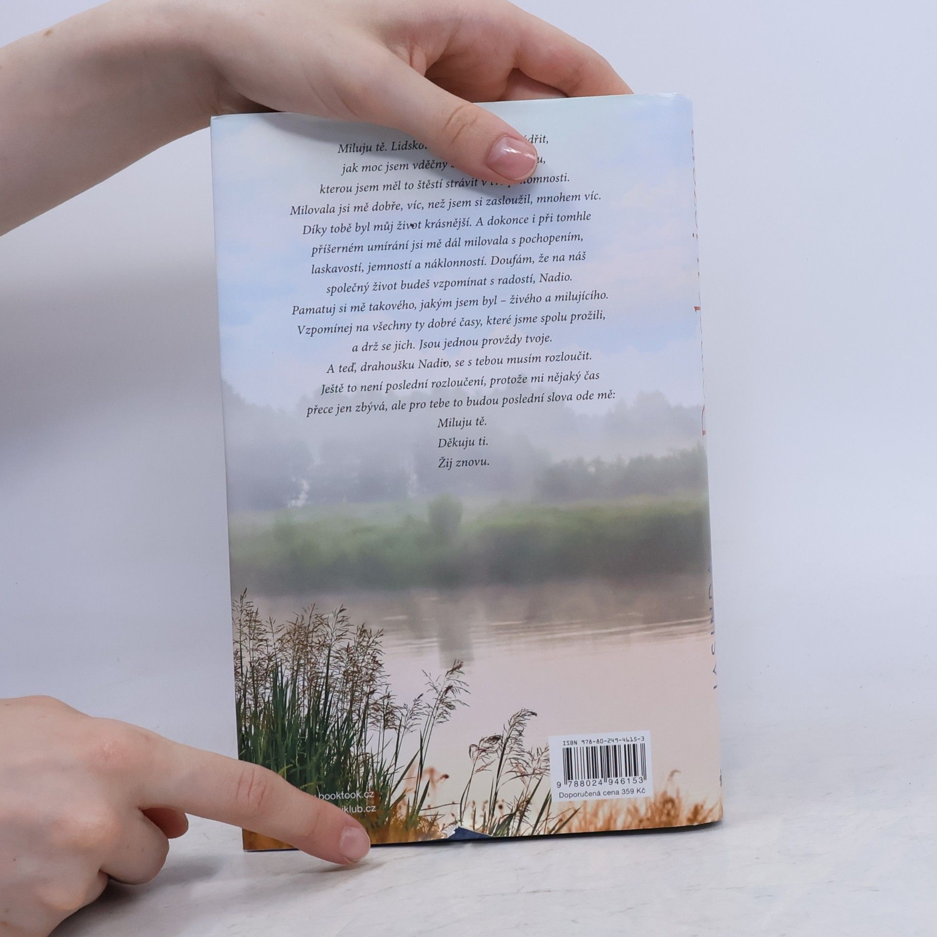 Jasinda Wilder Domek u jezera