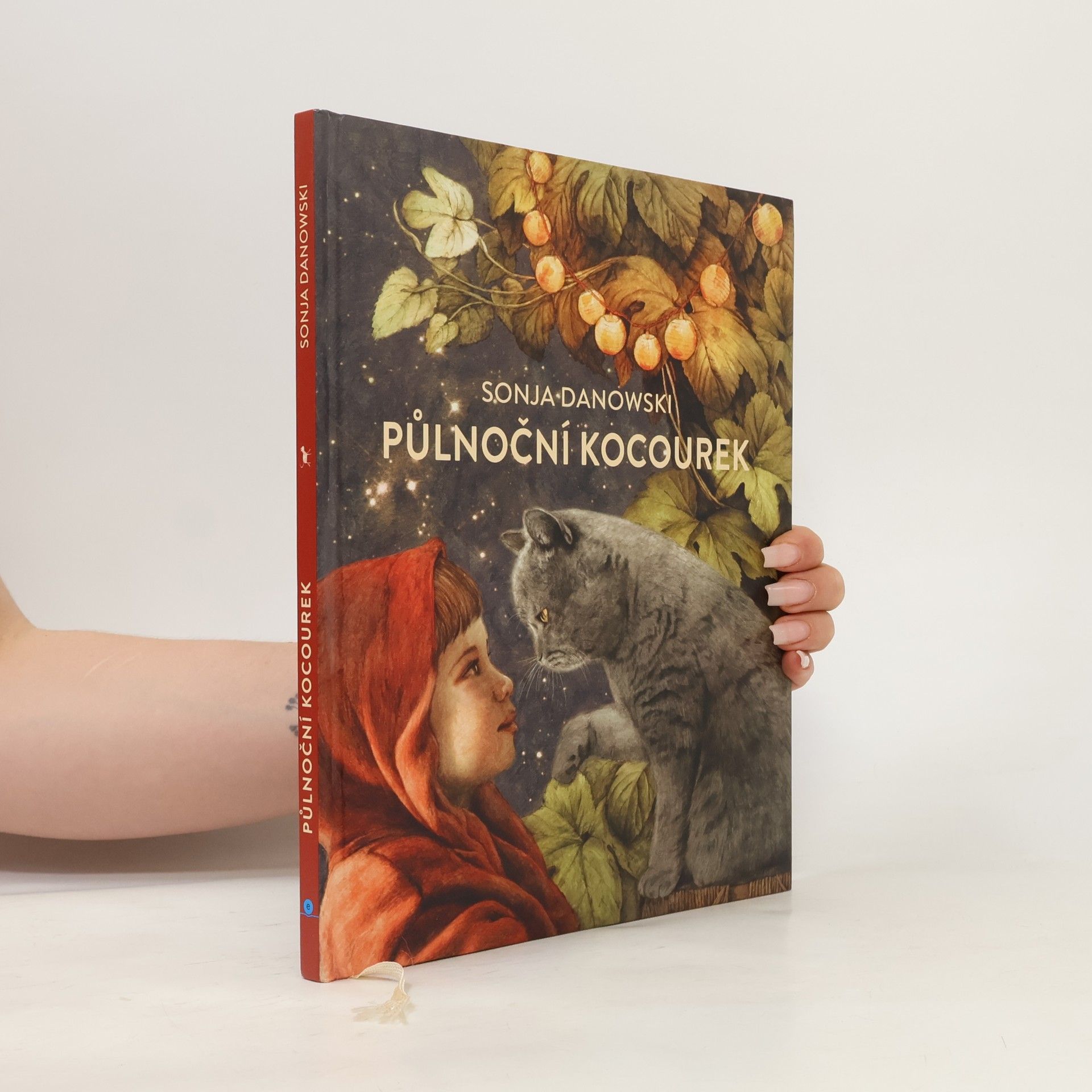 Sonja Danowski Půlnoční kocourek