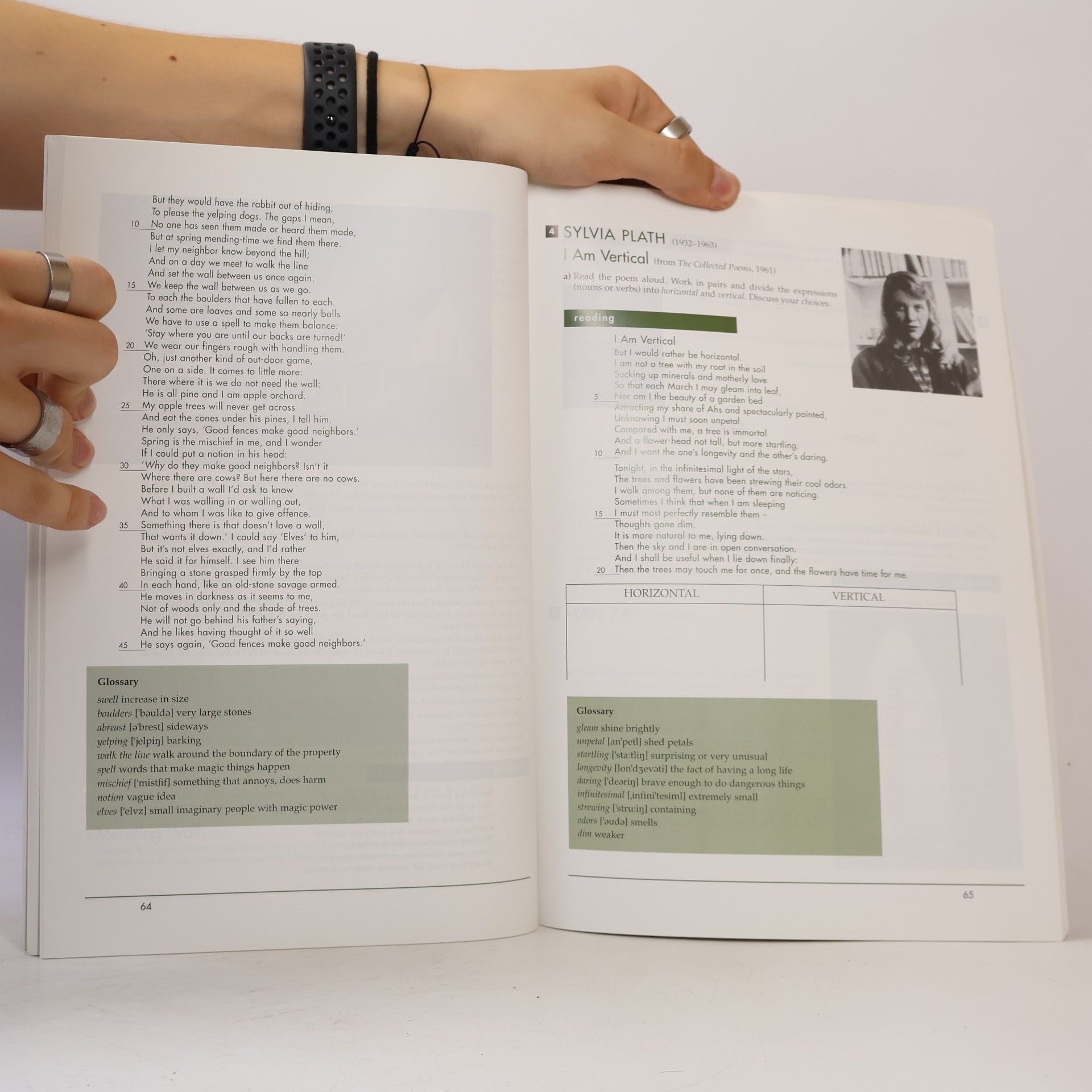 Michaela Čaňková Open Gates: Americká literatura 20. století / A Course in 20th Century American Culture and Literature