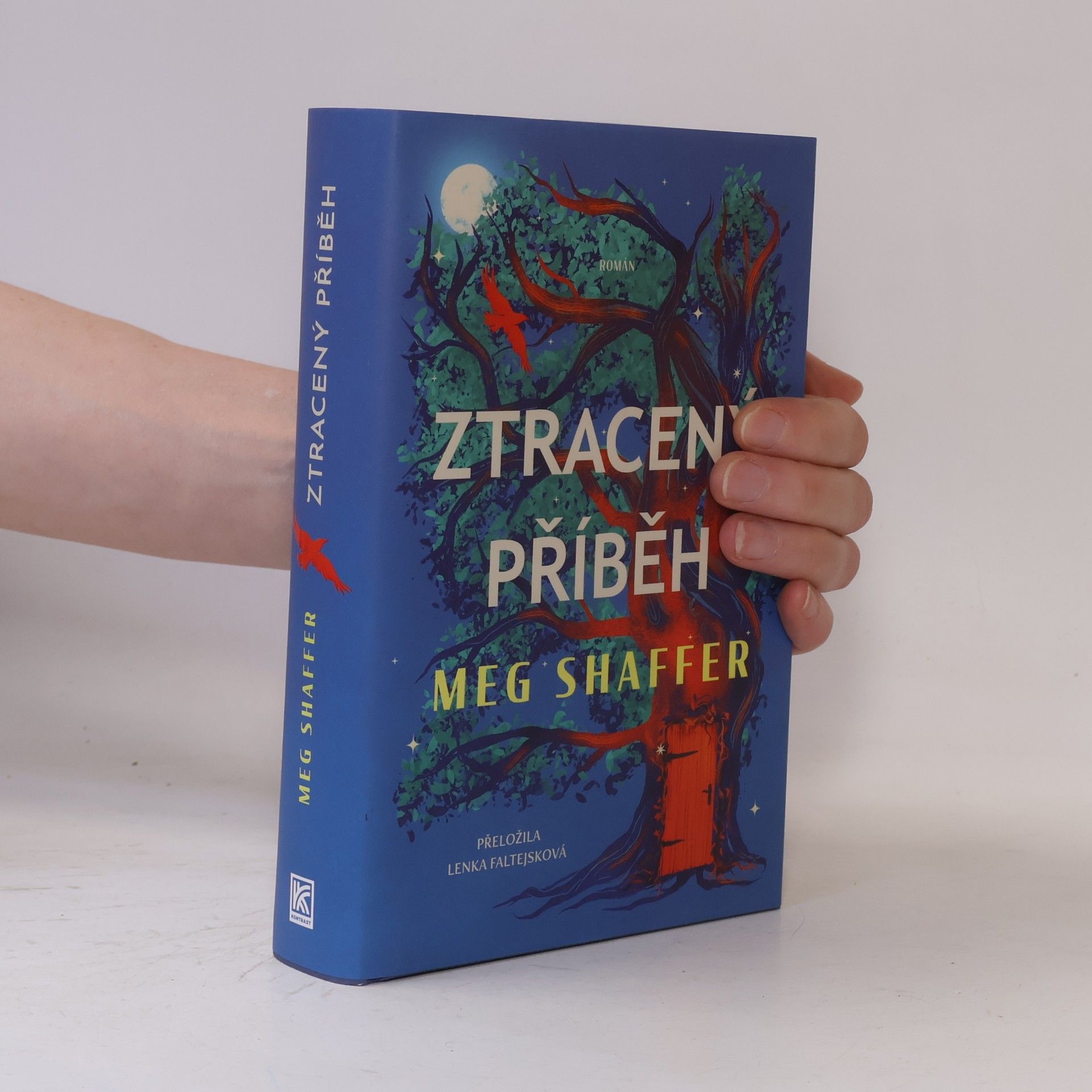 Meg Shaffer Ztracený příběh