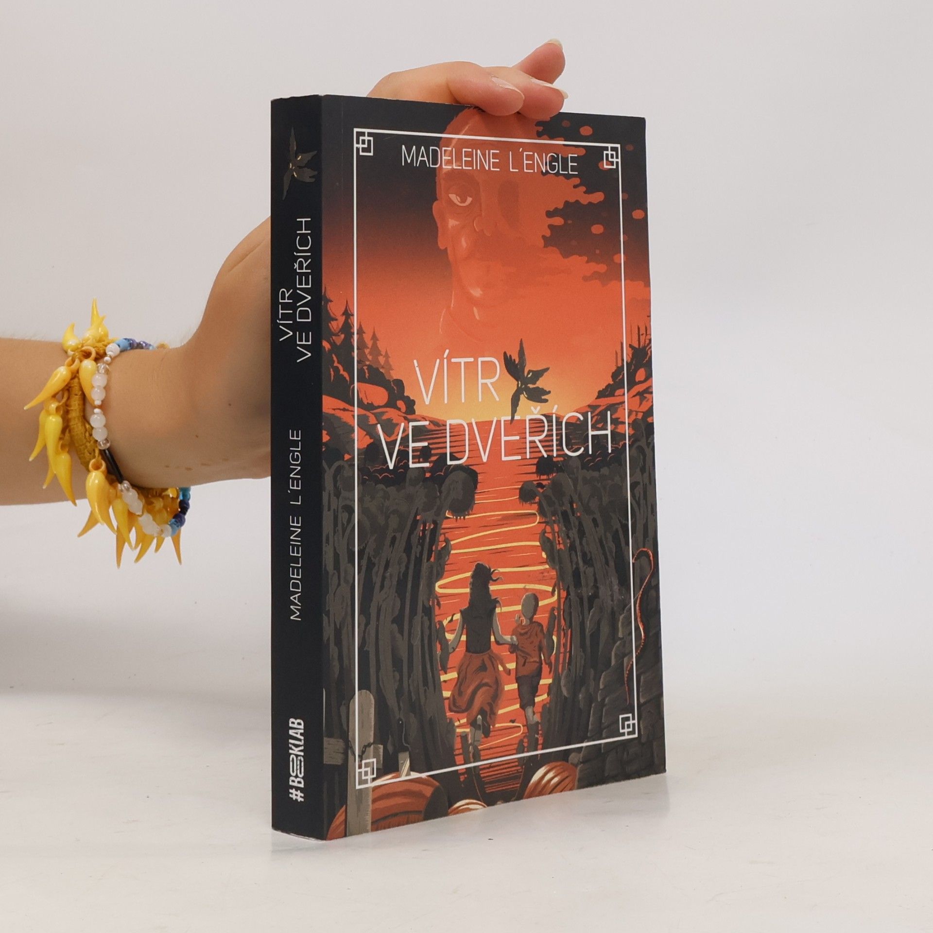 Madeleine L'Engle Vítr ve dveřích