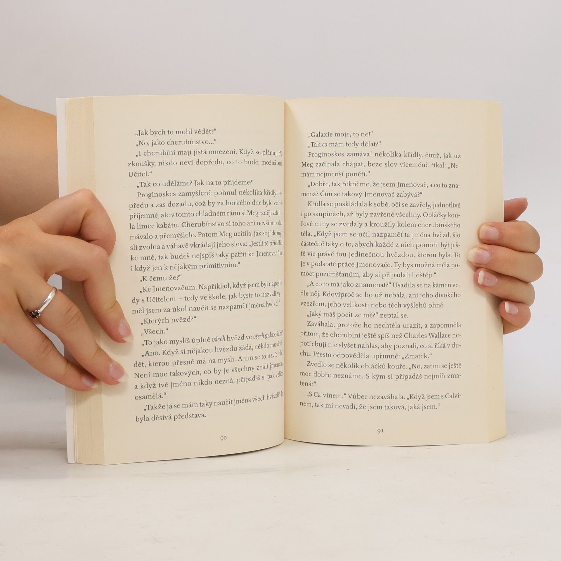 Madeleine L’Engle Vítr ve dveřích