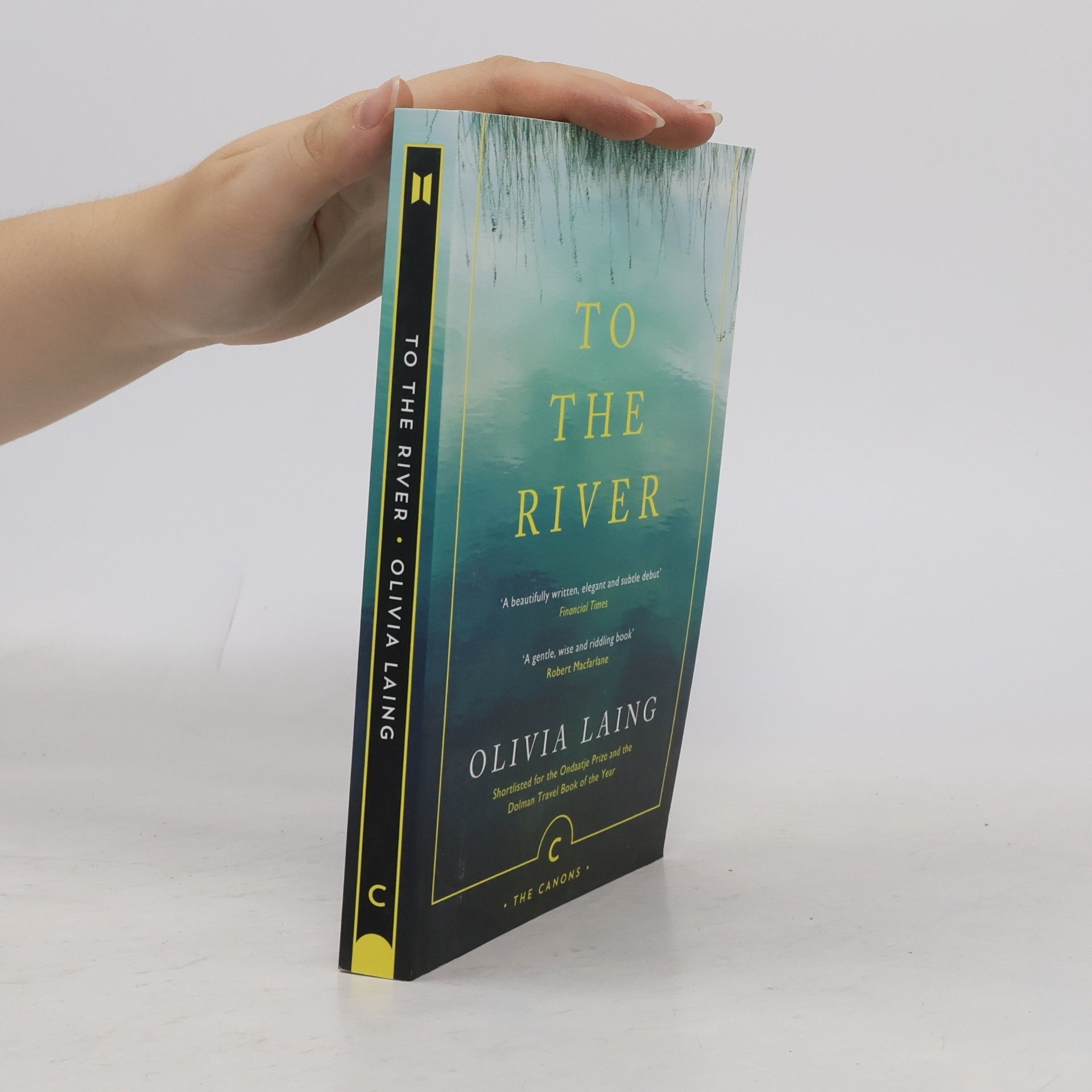 Olivia Laing To the River