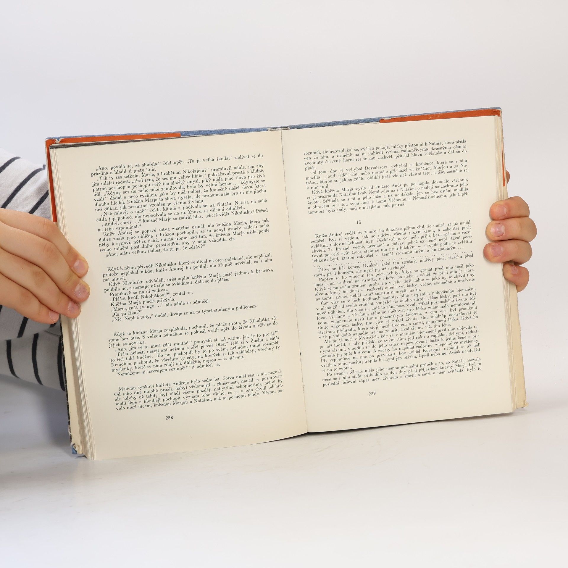 Lew Nikolajewitsch Tolstoi Vojna a mír 2