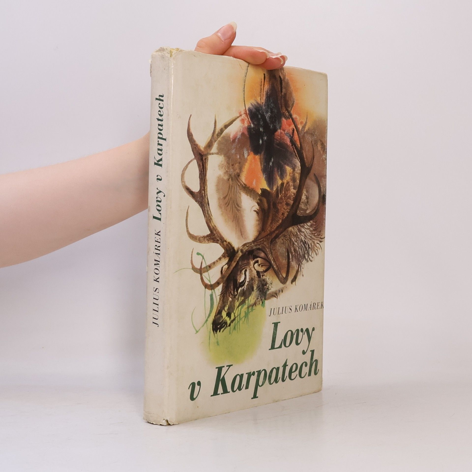 Julius Komárek Lovy v Karpatech