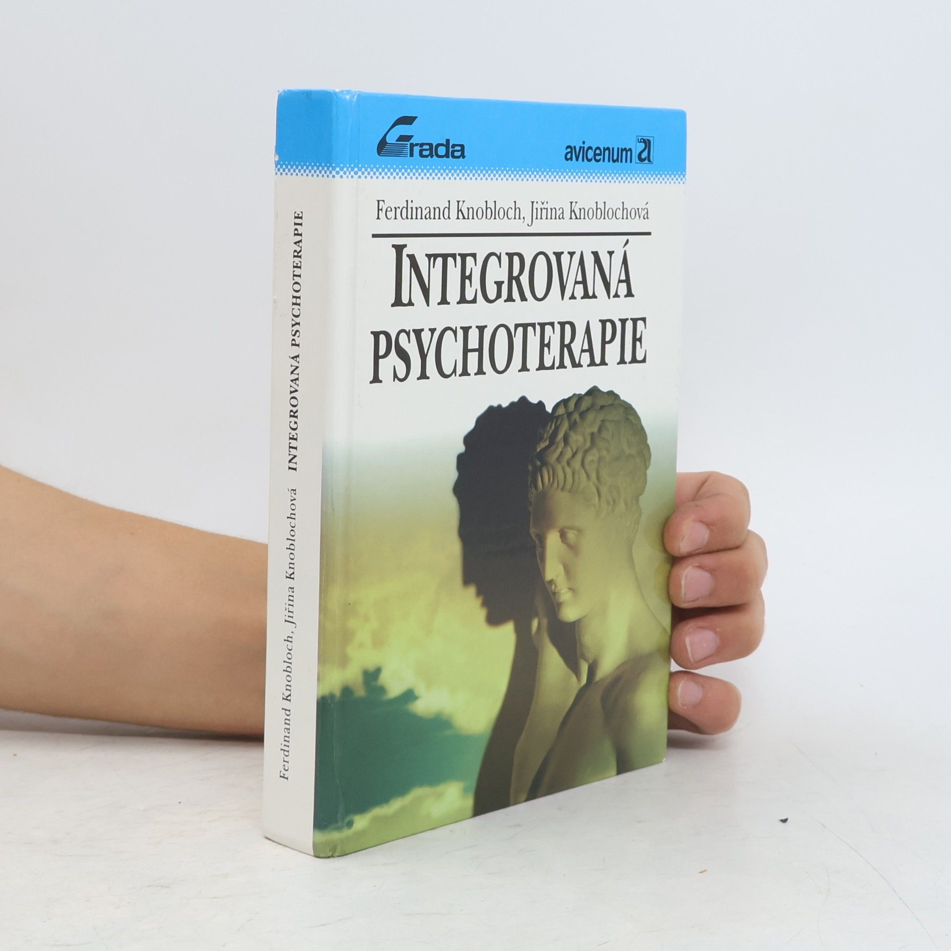 Integrovaná psychoterapie