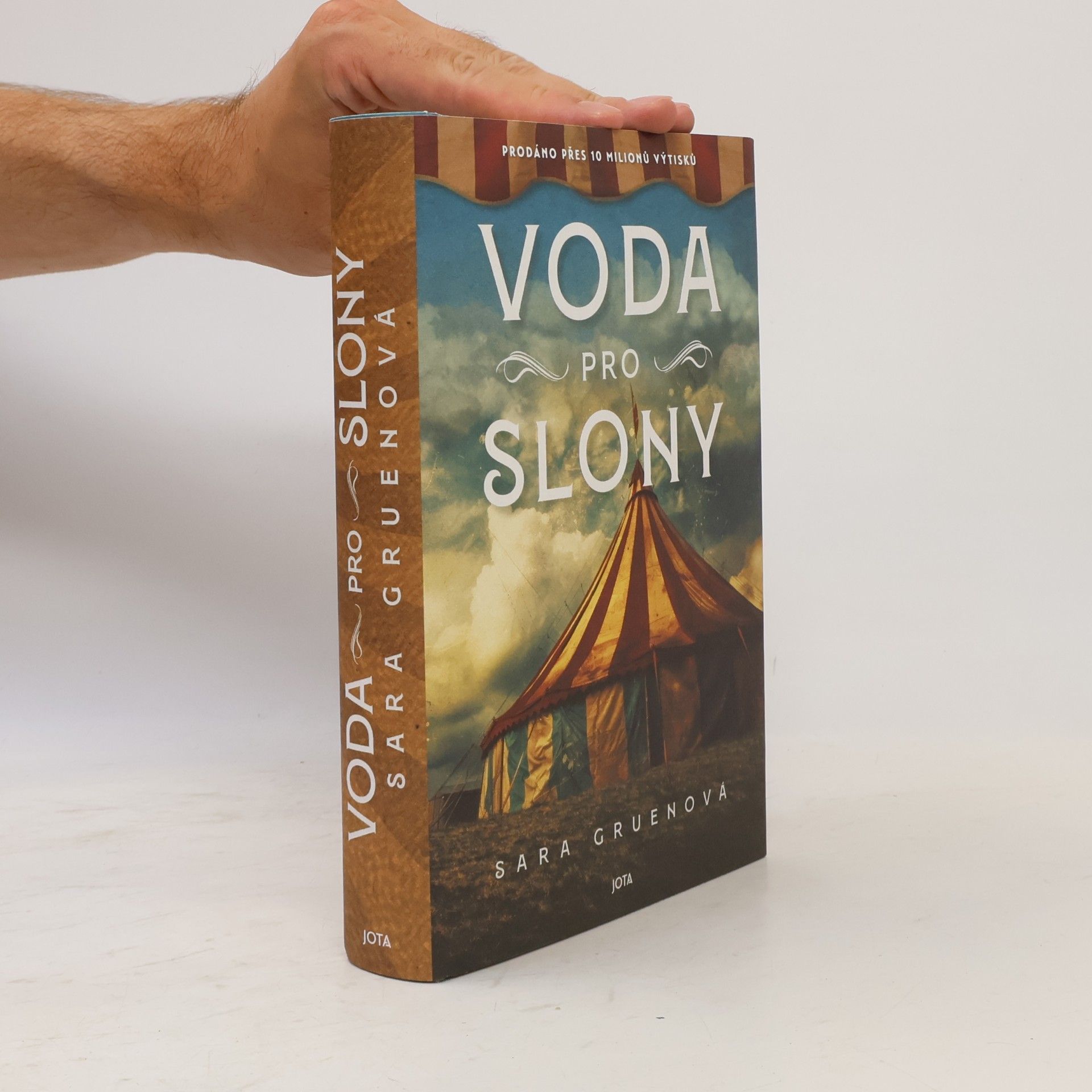 Sara Gruen Voda pro slony