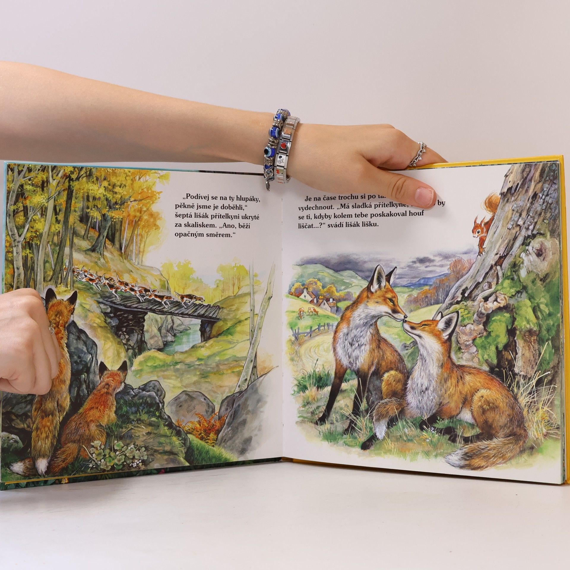 Autorenkollektiv Po stopách lišáčka, veverky a králíčka