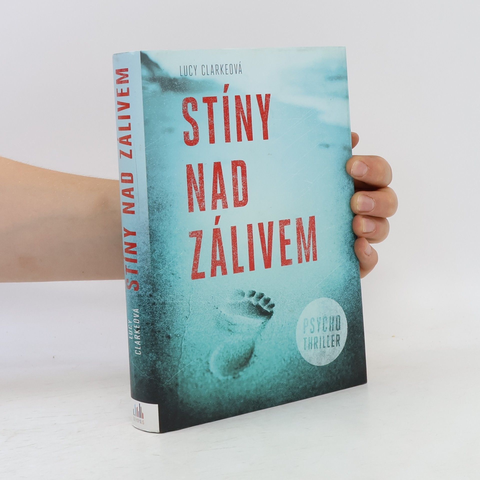 Lucy Clarke Stíny nad zálivem