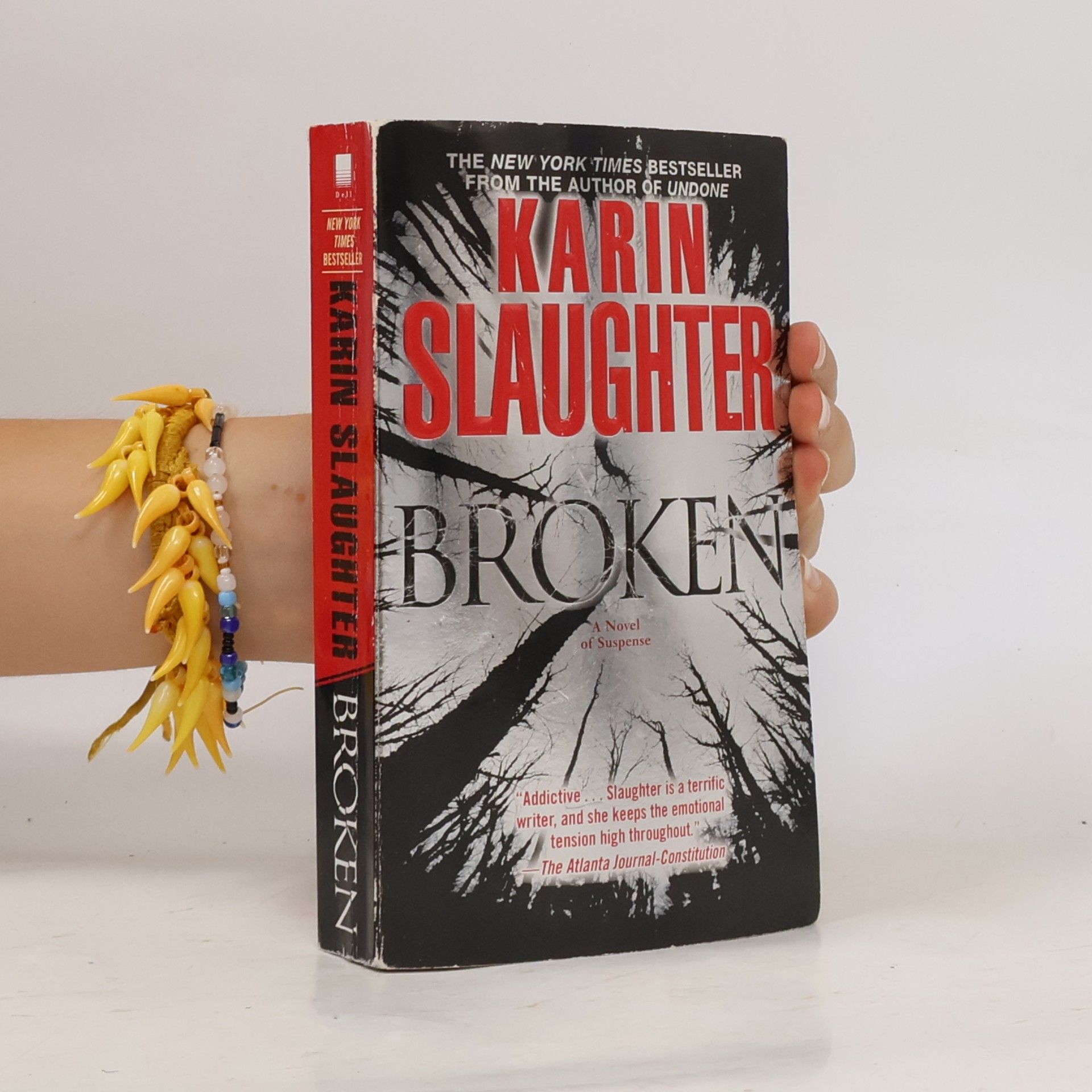 Karin Slaughter Broken
