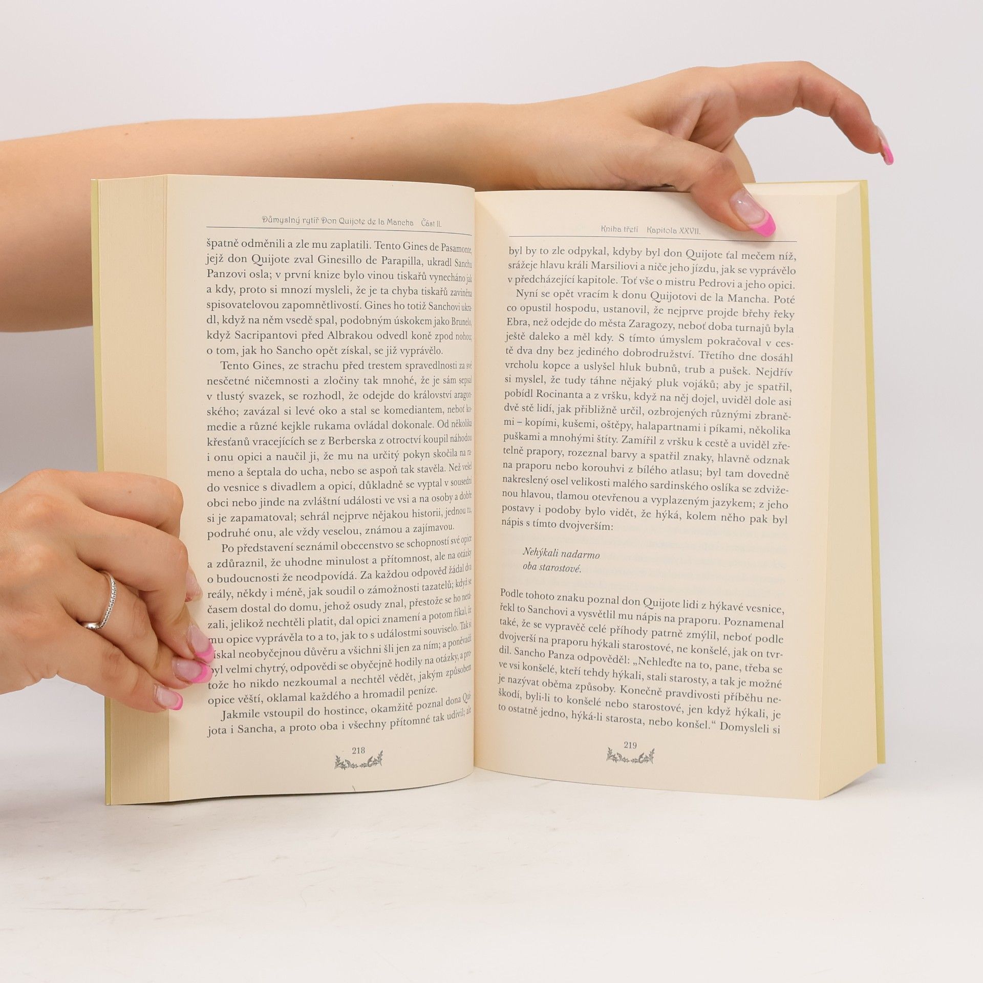 Miguel de Cervantes Don Quijote 2