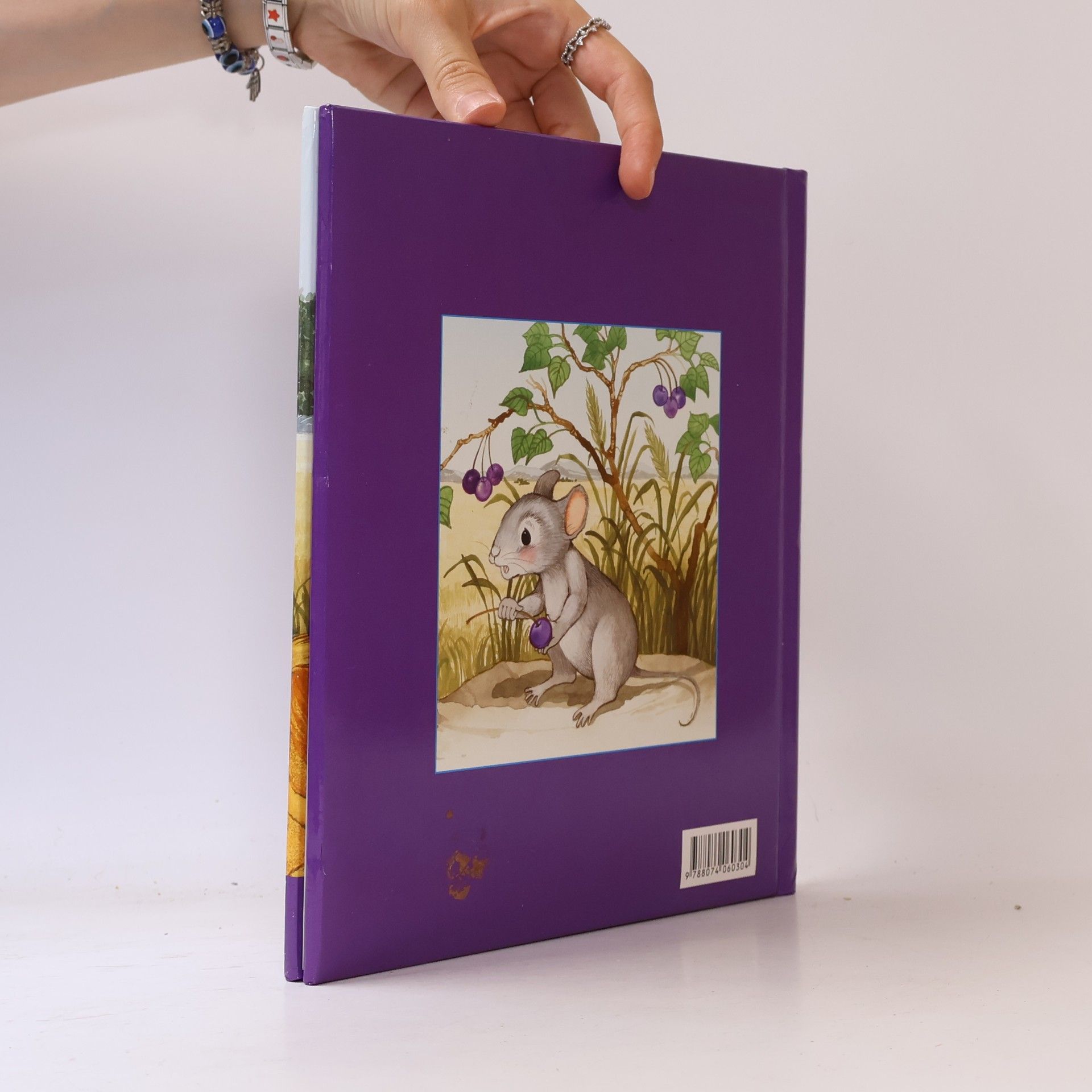 Autorenkollektiv O lvu a myšce. Příběh o pomoci druhým