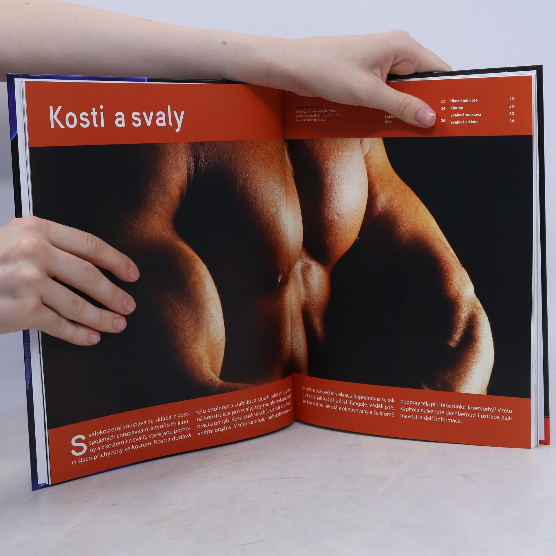 Kolektiv autorů Úžasné lidské tělo - Jak to funguje?