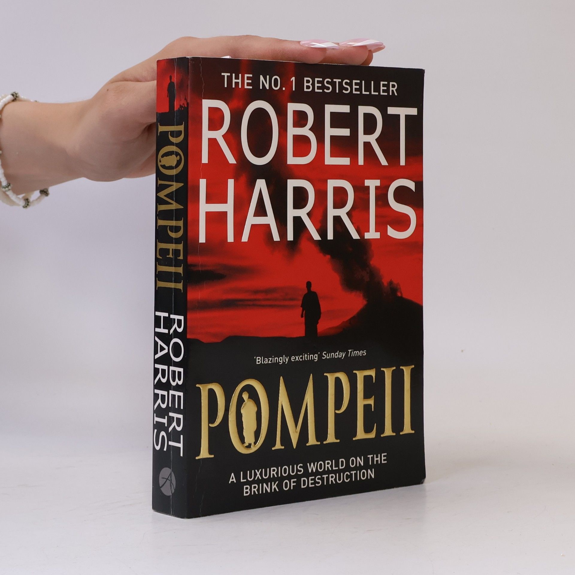 Robert Harris Pompeii