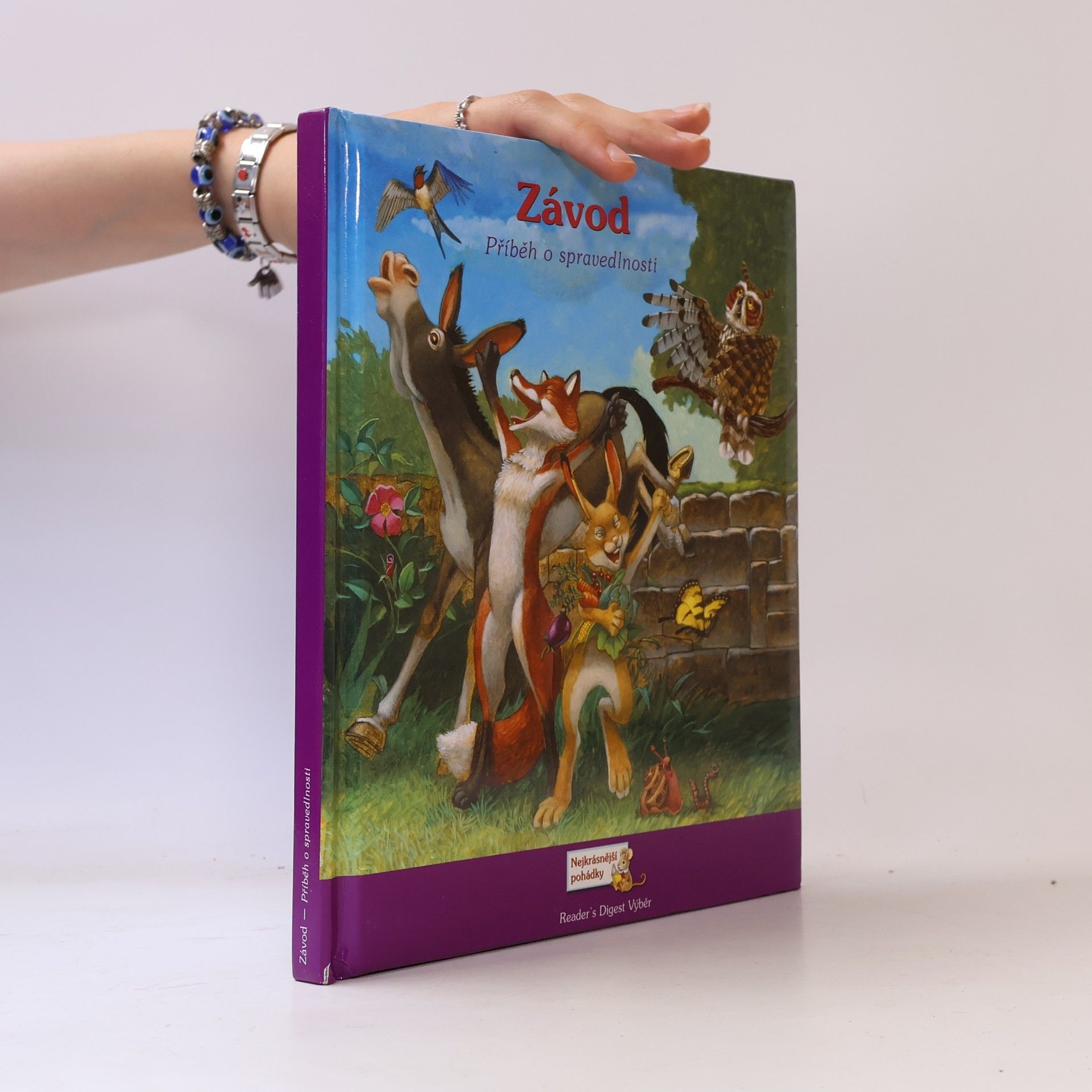 Závod : příběh o spravedlnosti