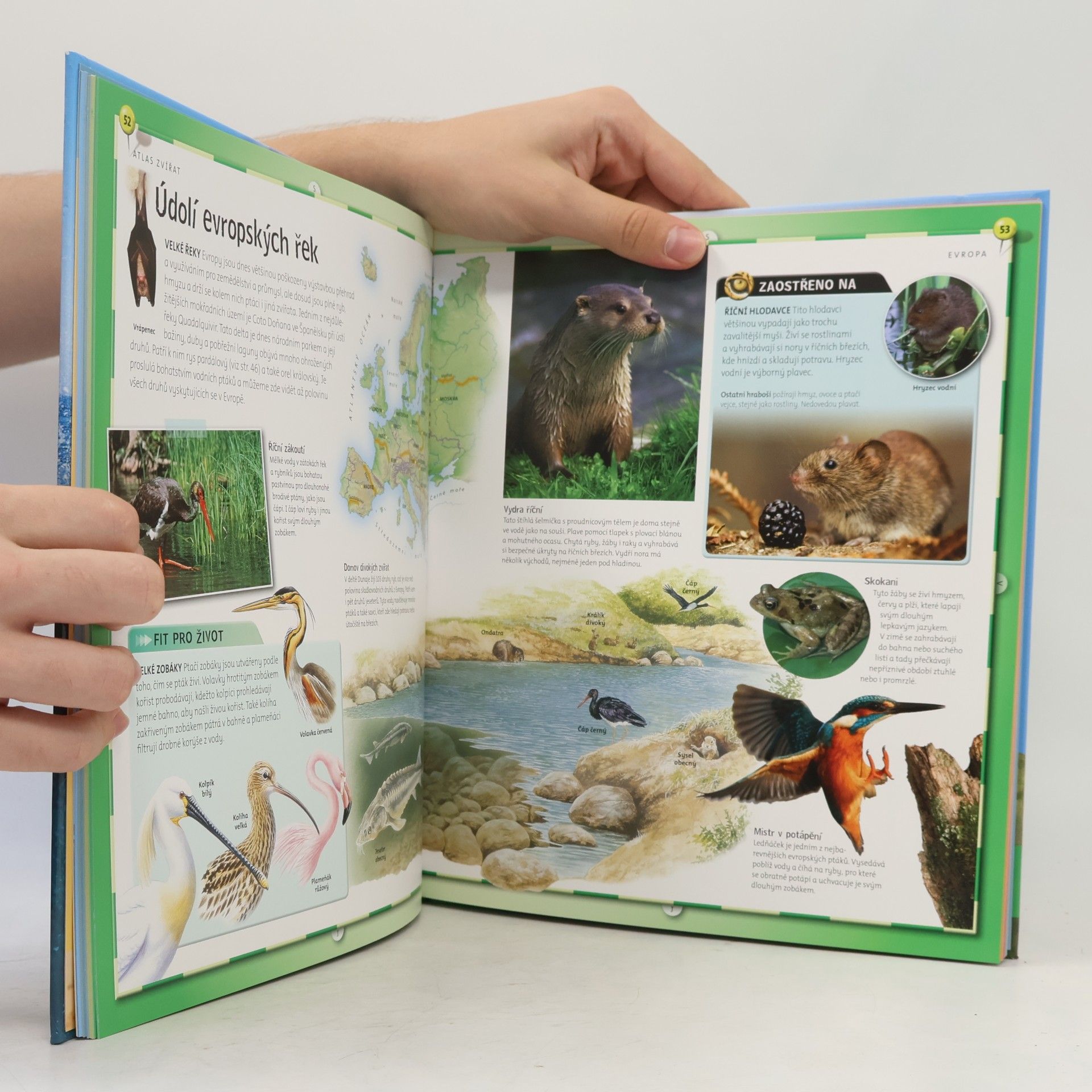 Jinny Johnson Atlas zvířat