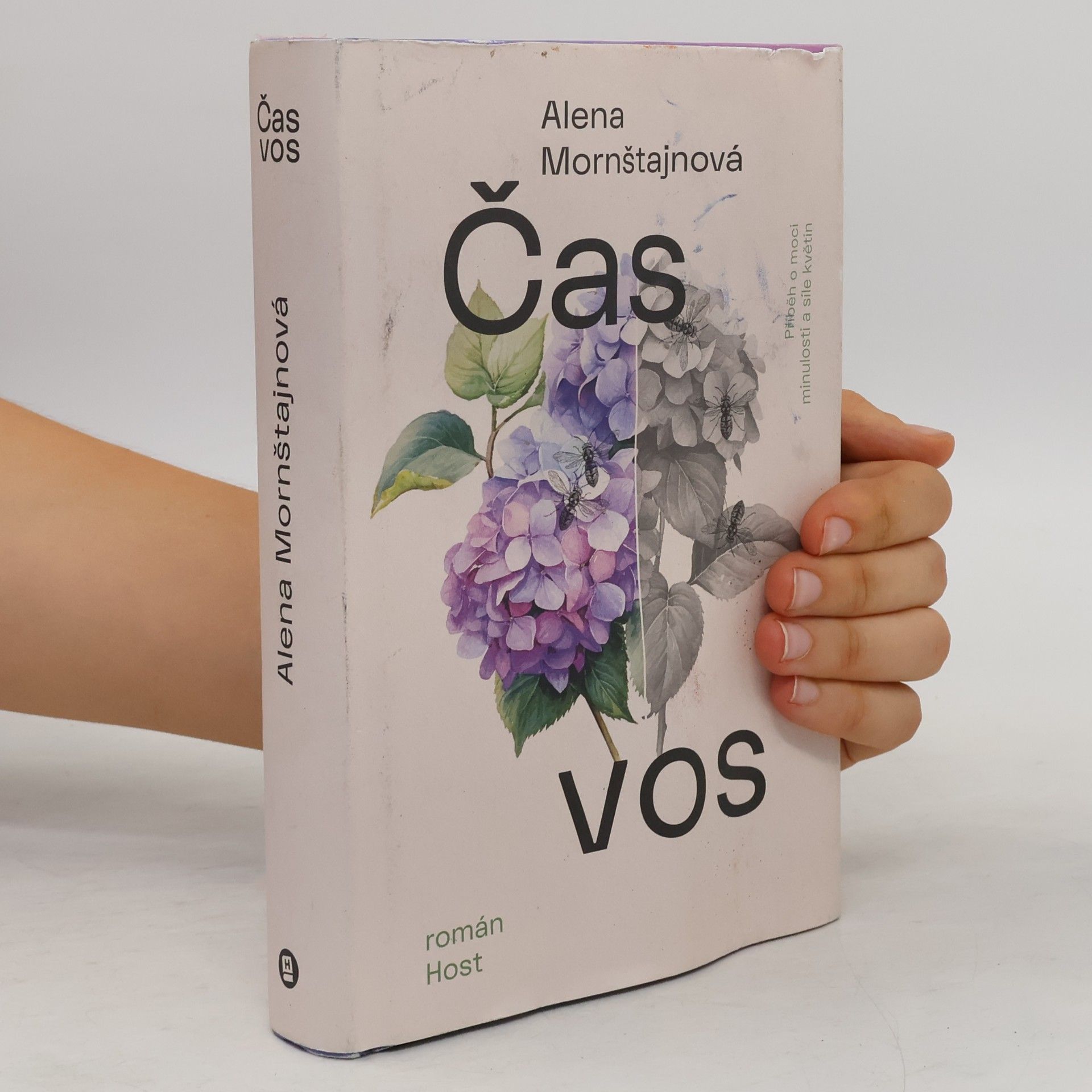Alena Mornštajnová Čas vos