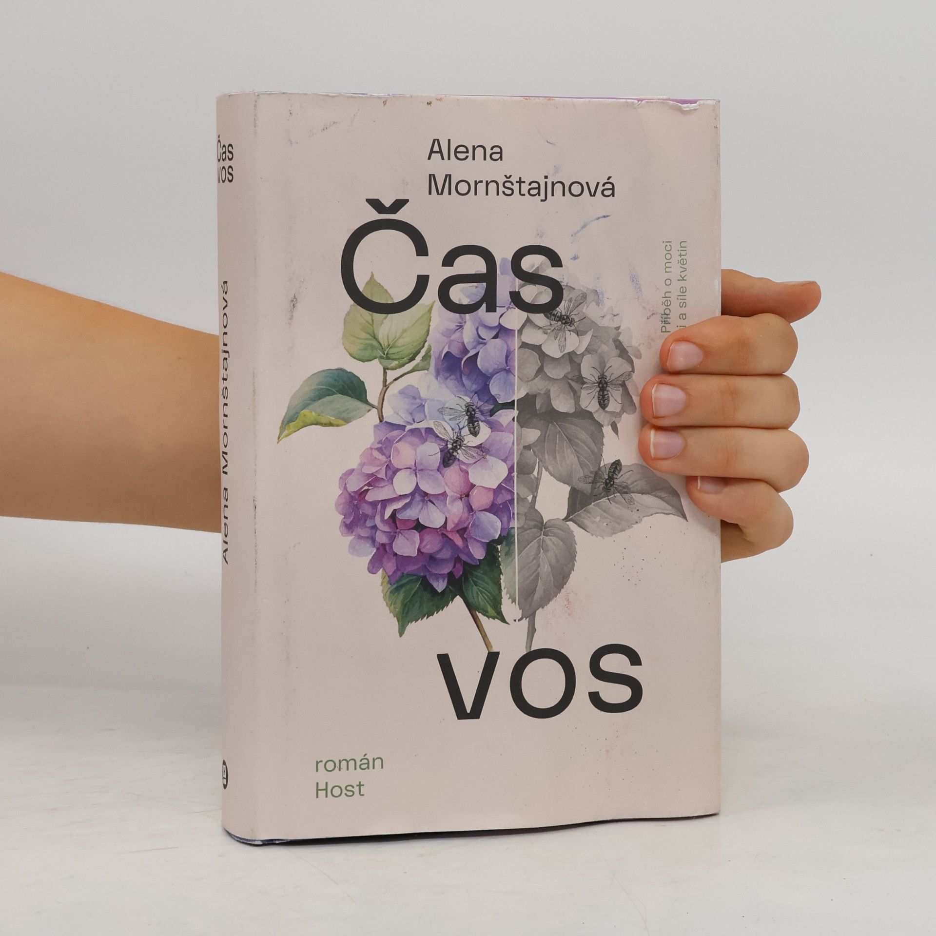 Alena Mornštajnová Čas vos