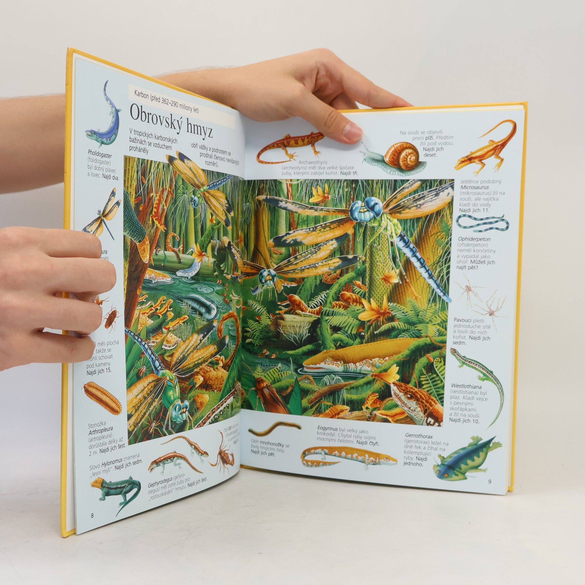 Kolektiv autorů Velké putování za dinosaury
